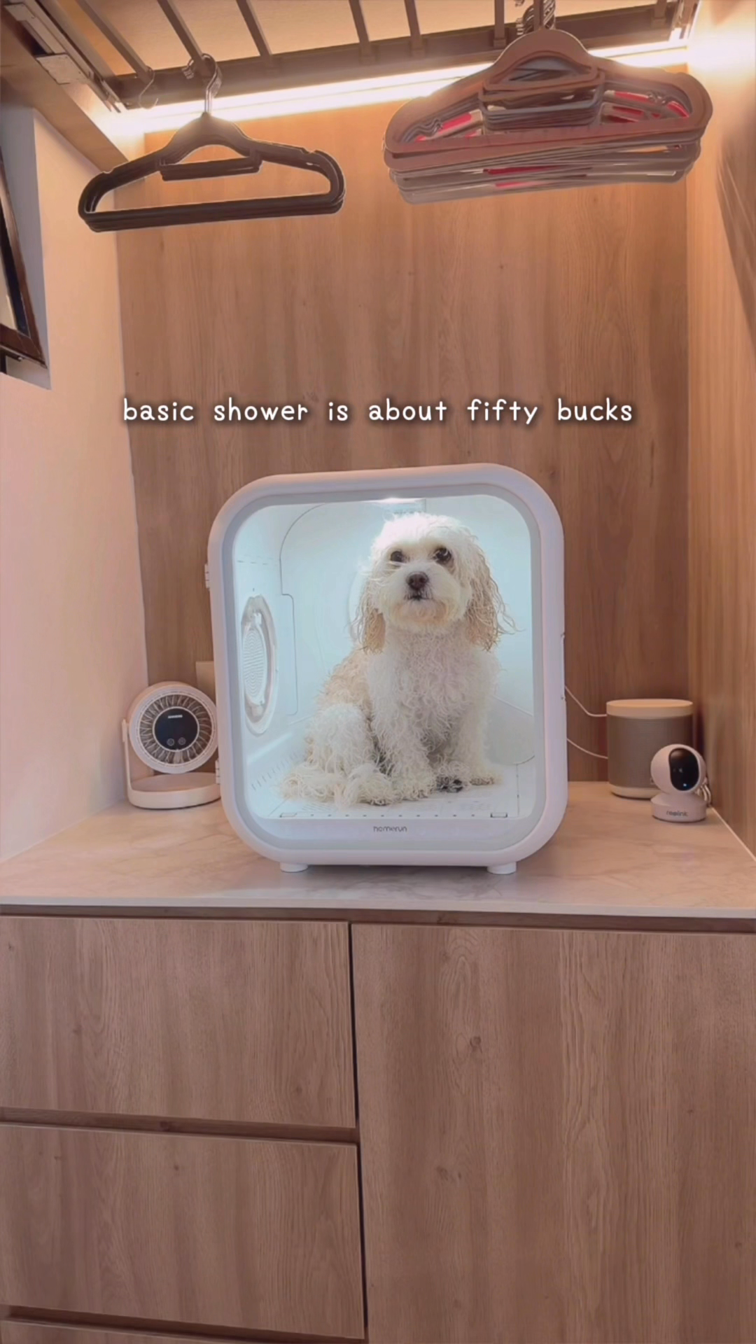 The-Truth-About-Dog-Bath-Days-at-Home-🐶