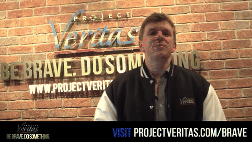 Video Thumbnail Loop