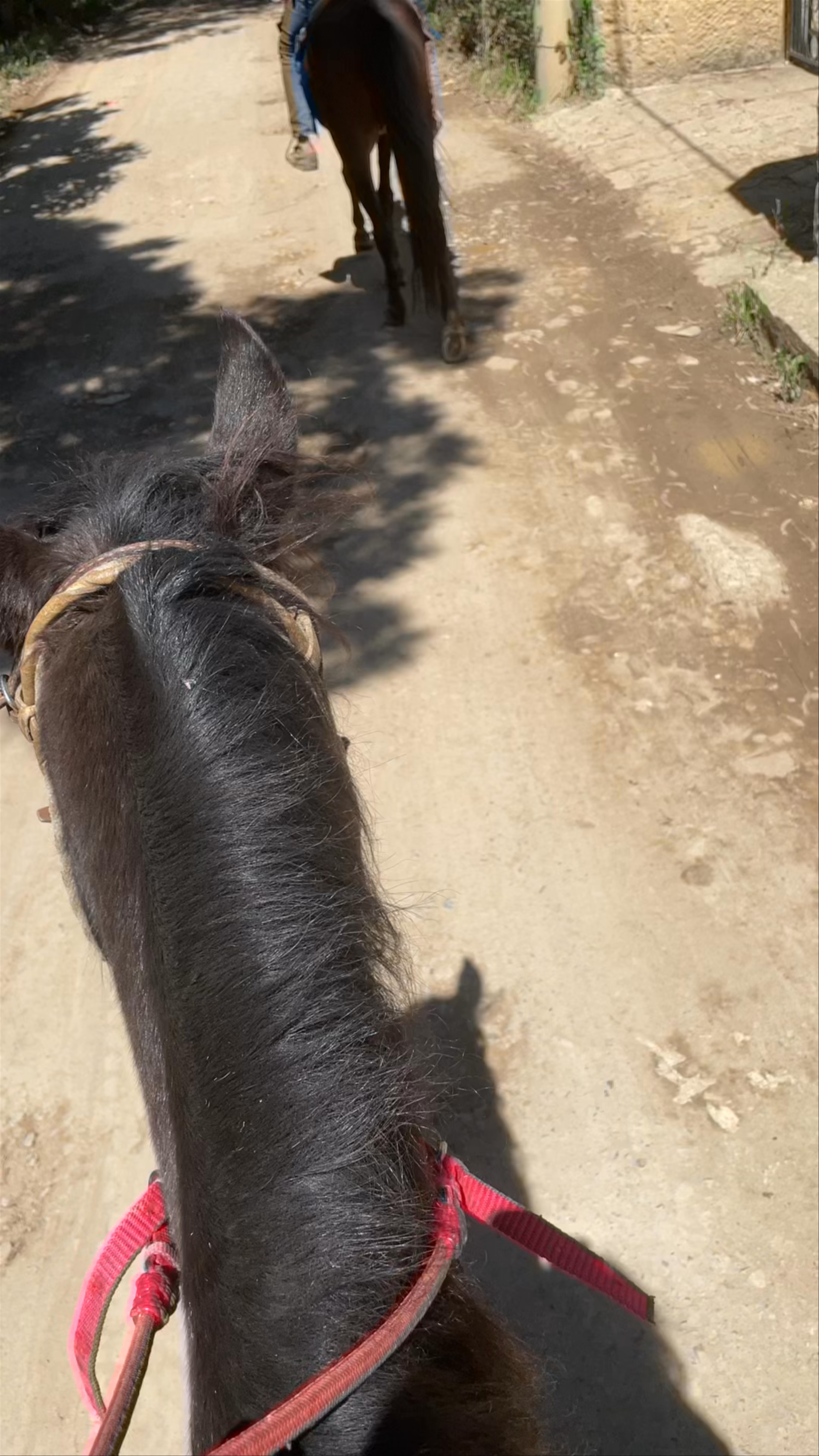 Cabalgatas Puerta Turistica