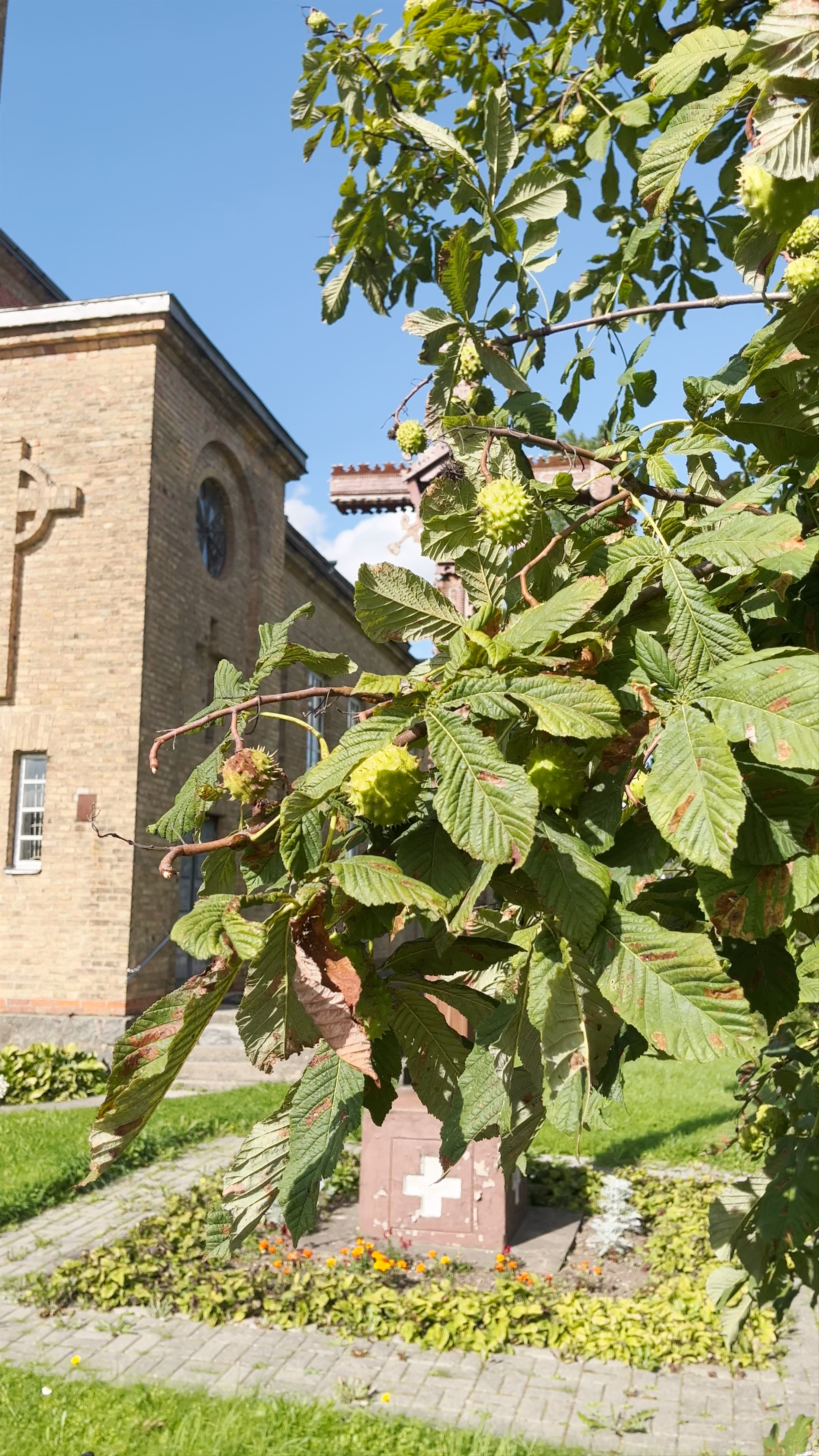 Aknīstes Svētā Ignācija Romas katoļu baznīca