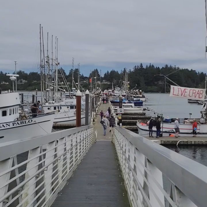 FV Lady Kathy - Beautiful Charleston Marina ...Dock B leading to Lady Kathy - Seafood Markets Near Me - Charleston, Oregon