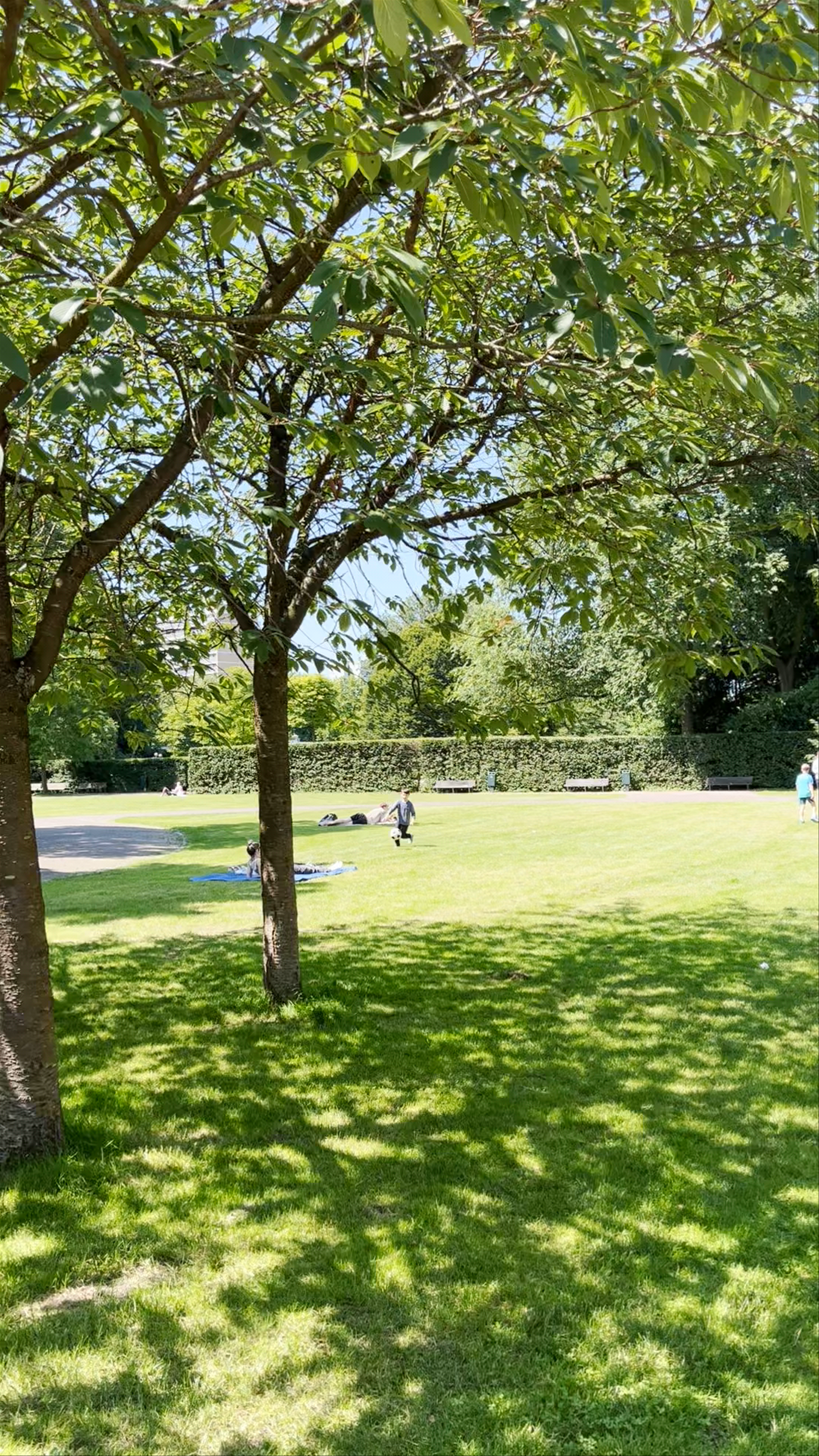 Sunny Day Leisure at Amstelpark, Amsterdam
