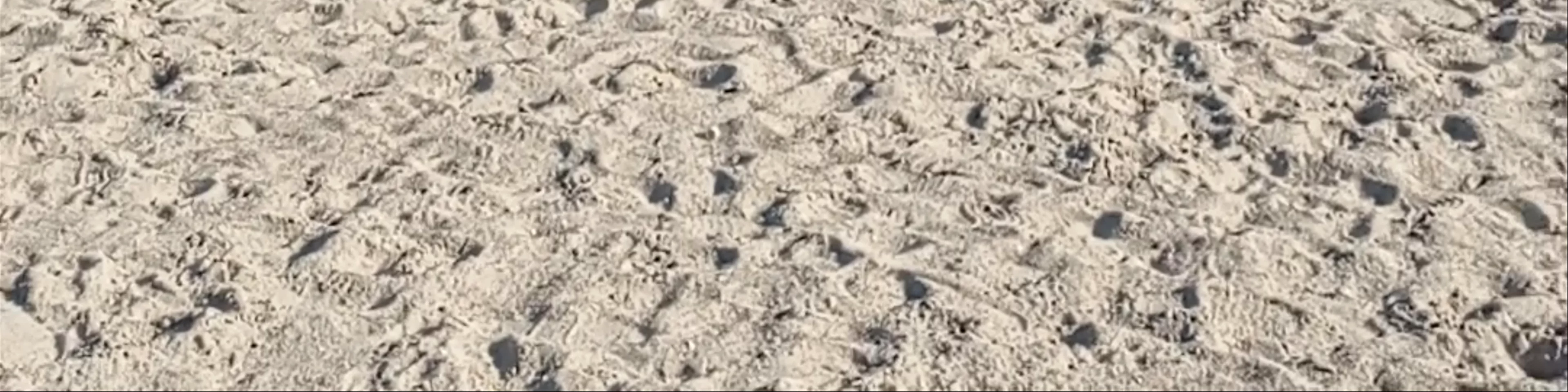 Playa De Muro