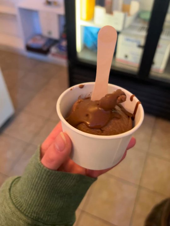 Coco Lov - Chocolate and chocolate hazelnut spread - Ice Cream & Frozen Yogurt Near Me - Tampa, Florida