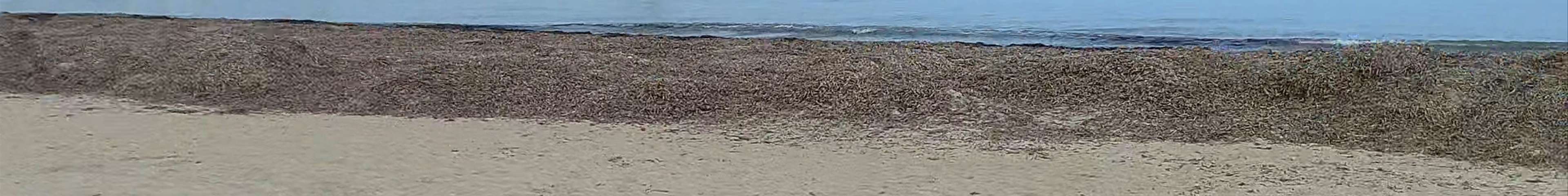 Tours & experiences in Denia