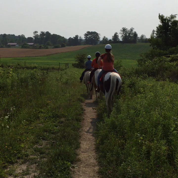 Painted Bar Stables - trail ride with some great horse wranglers at Painted Bar--so wonderful to see hard working young ladies with such expertise - Horse Boarding Near Me - Burdett, New York
