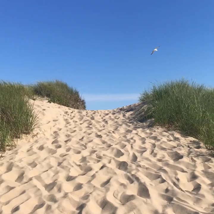 Katama Beach - Beaches Near Me - Edgartown, Massachusetts