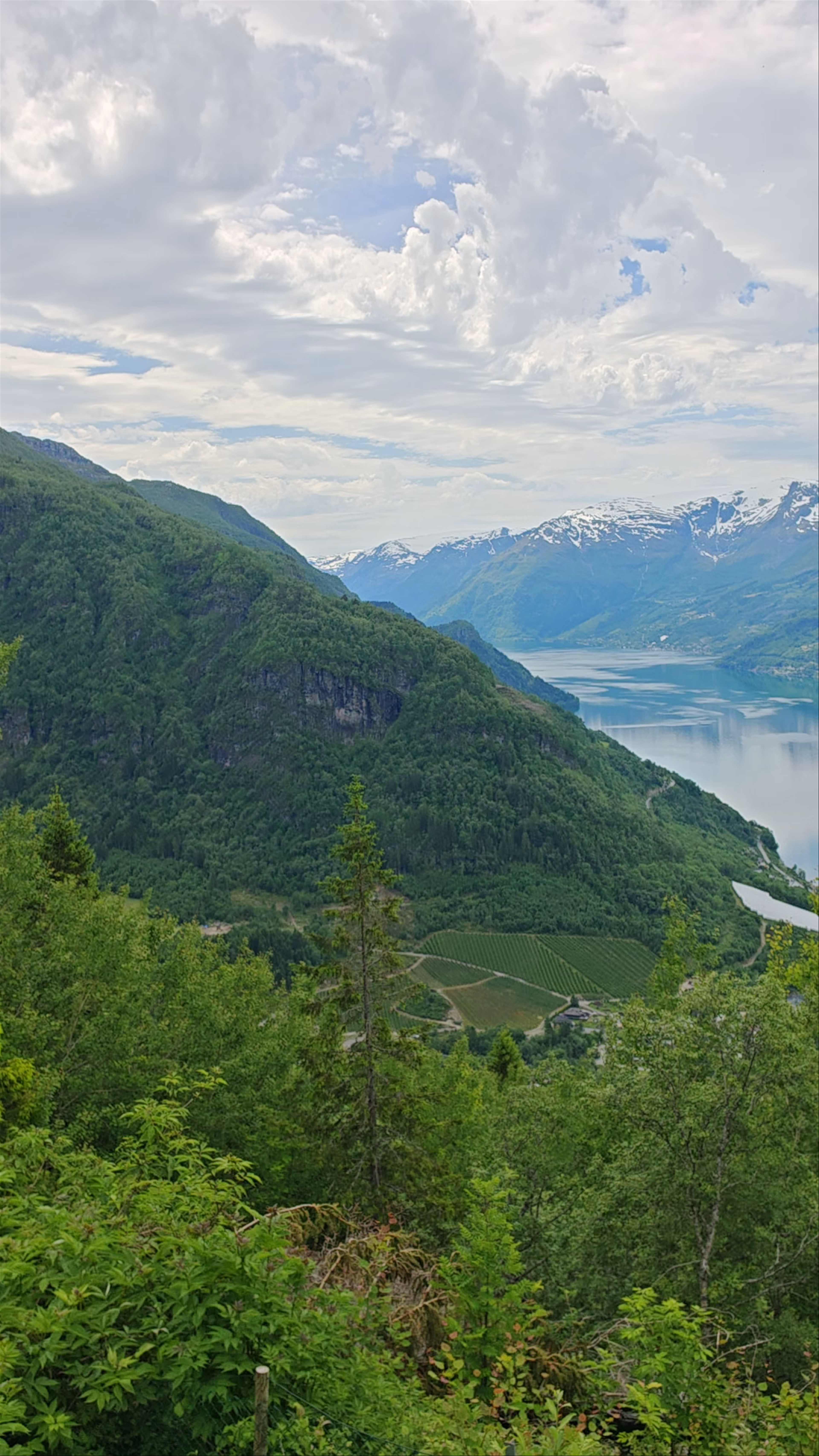 Dagsturhytta Lofthus ( Hovden )