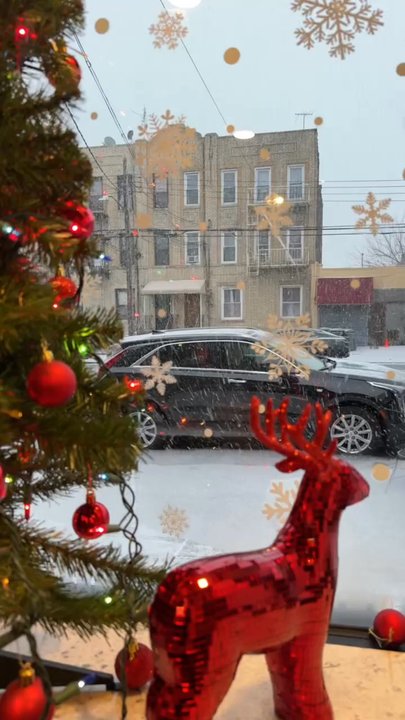 The Soul Cup - Christmas Eve Snow Captured at Grizzlys 2024 - Coffee & Tea Near Me - Brooklyn, New York