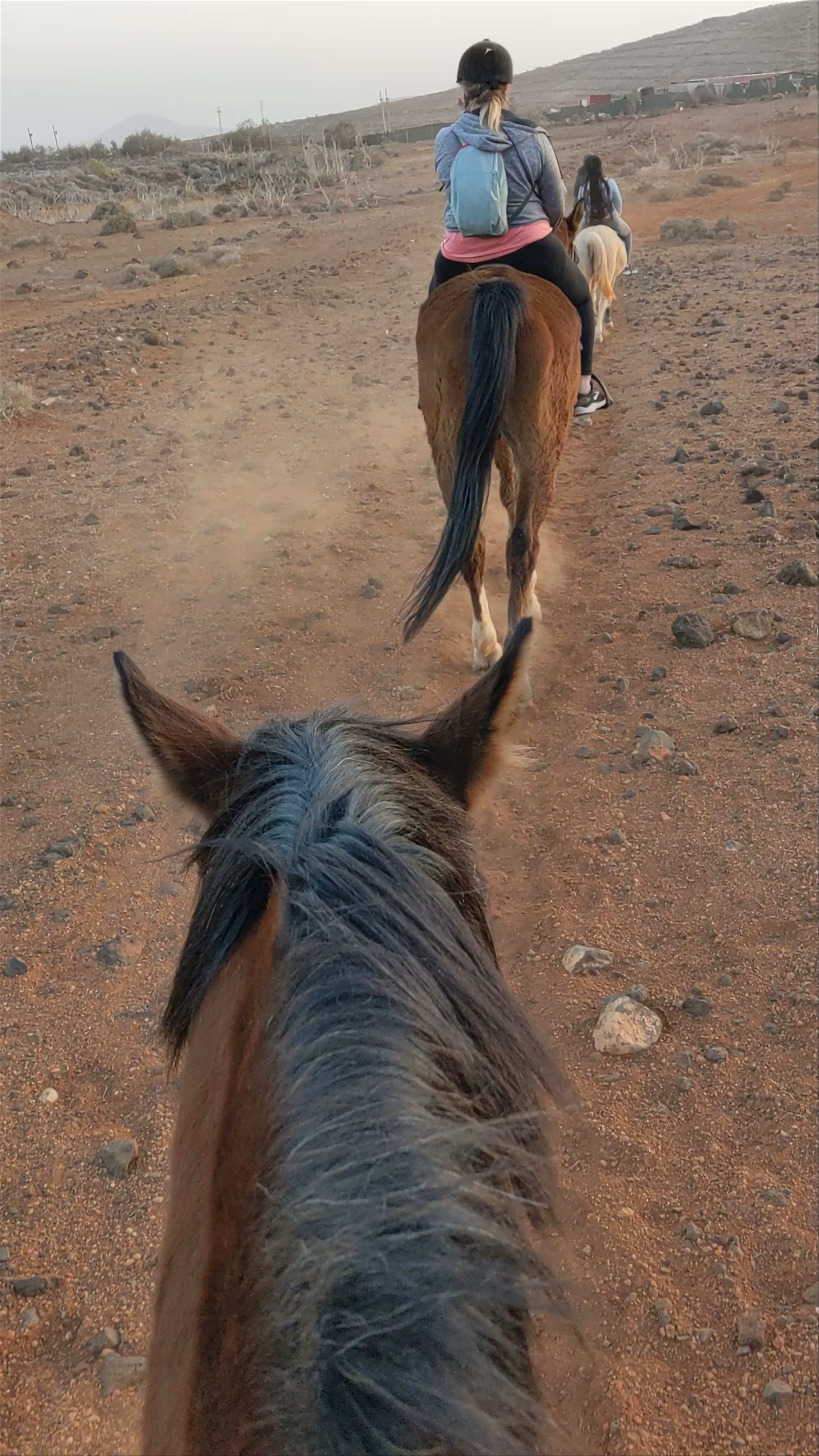 Sunset Horse Riding Adventure in Ojos de Garza, Canarias