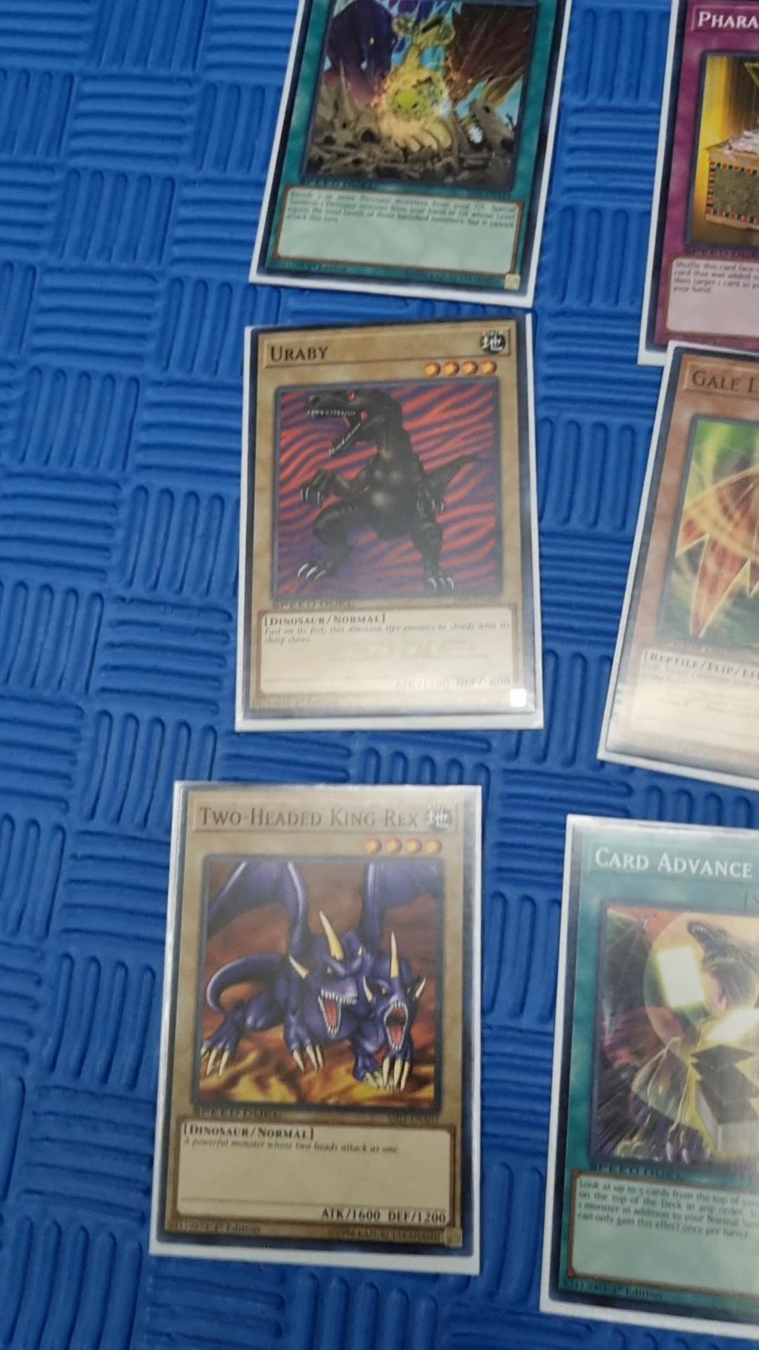 Siin - سين  Yugioh Dinasour Speed Duel بطاقات يوغي دينوسور gallery