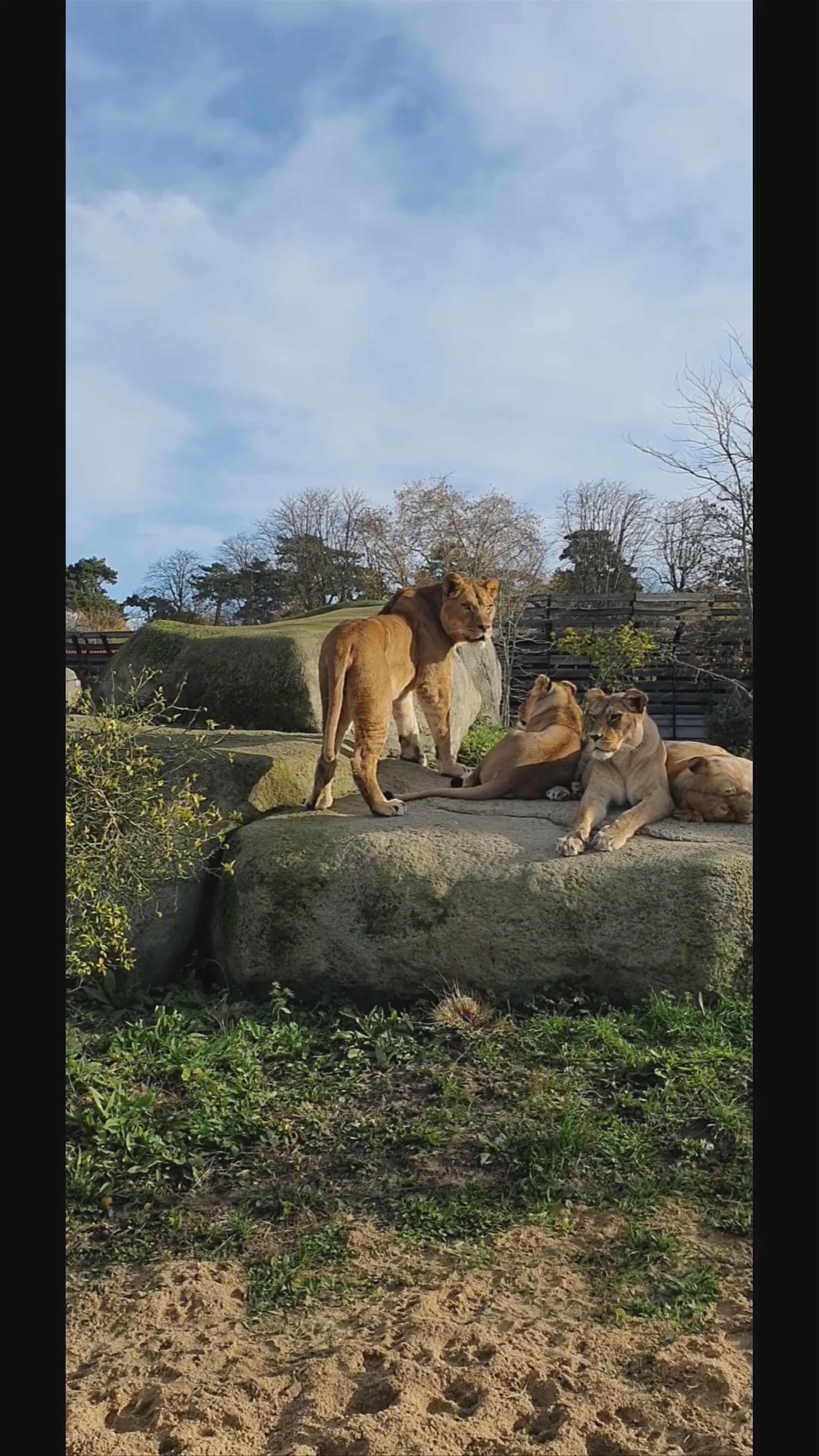 Grădina zoologică din Paris
