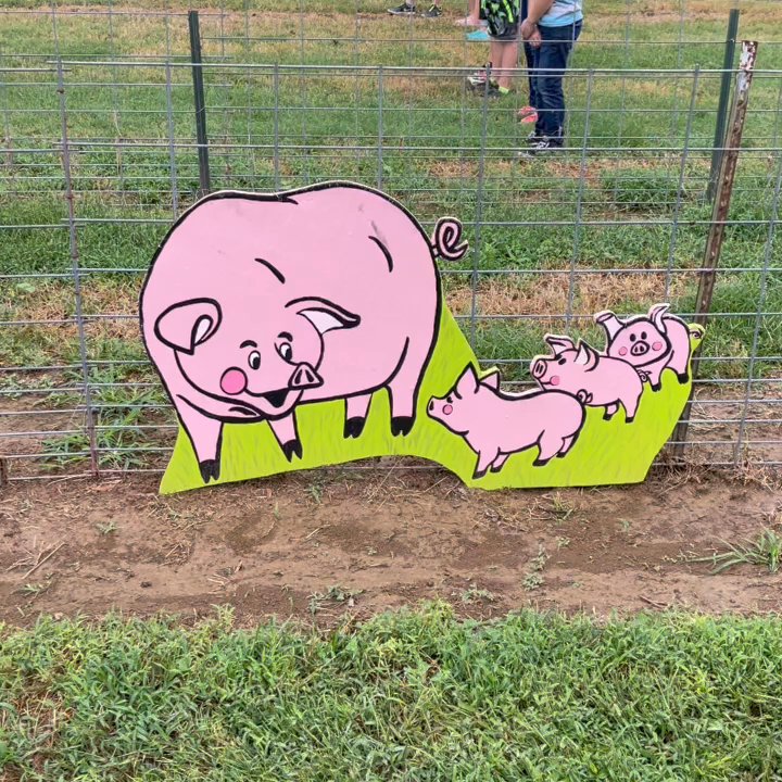 Pumpkin Hollow - Pig  run - Fruits & Veggies Near Me - Piggott, Arkansas