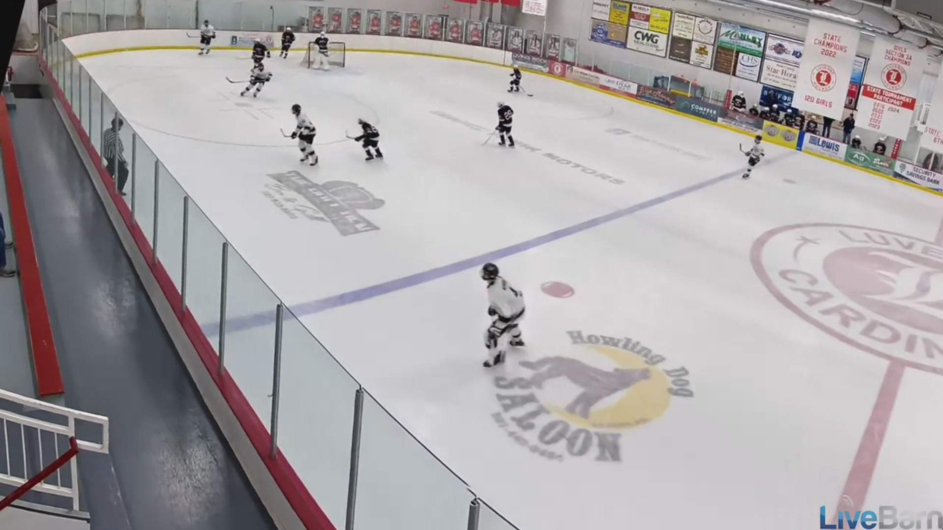 Harper Hansen's Breakaway Brilliance | Sioux Falls Flyers 14U A Highlights