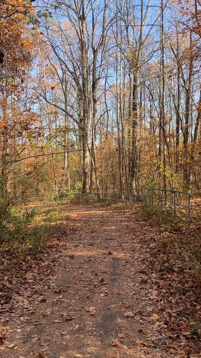 Lake Accotink Park - Parks Near Me - Springfield, Virginia