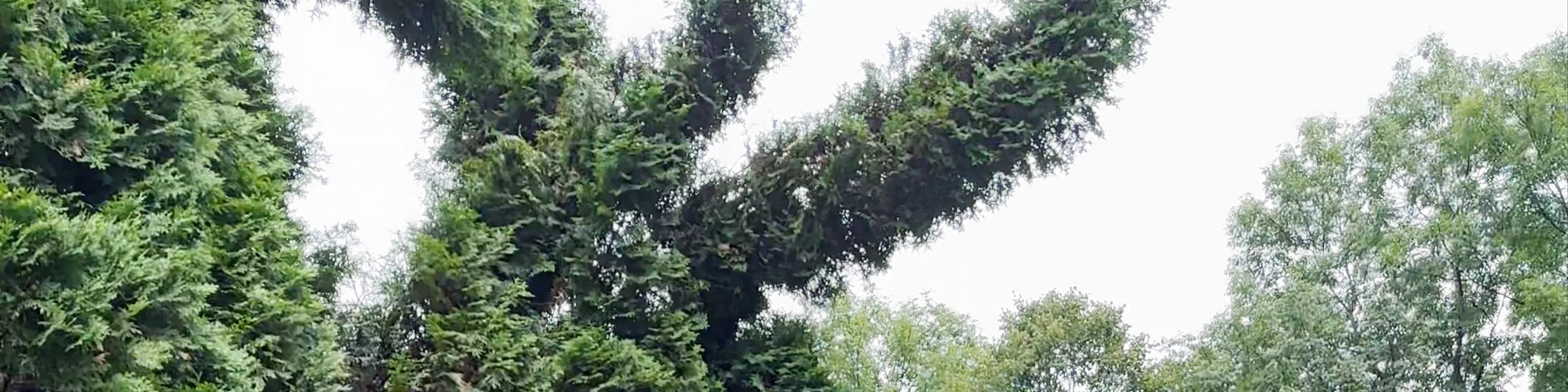 PARCUL CU LACURI