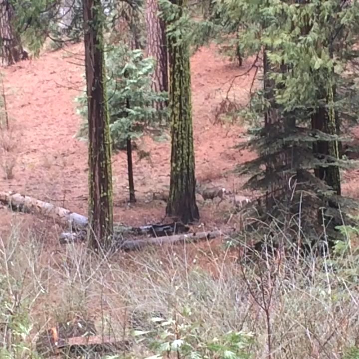 Nelder Grove - Oh dears..;) - Hiking Near Me