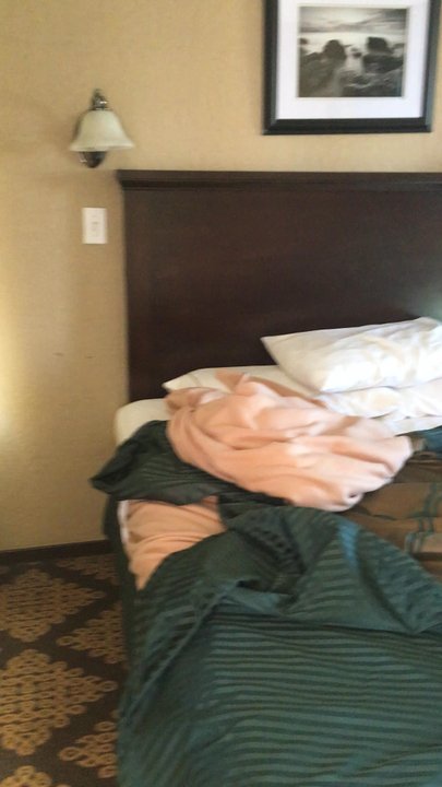 Stage Stop Inn - 2 queen beds queen sofa bed $154 one night Friday.. no satellite signal for the huge tv - Hotels Near Me - Williams, California