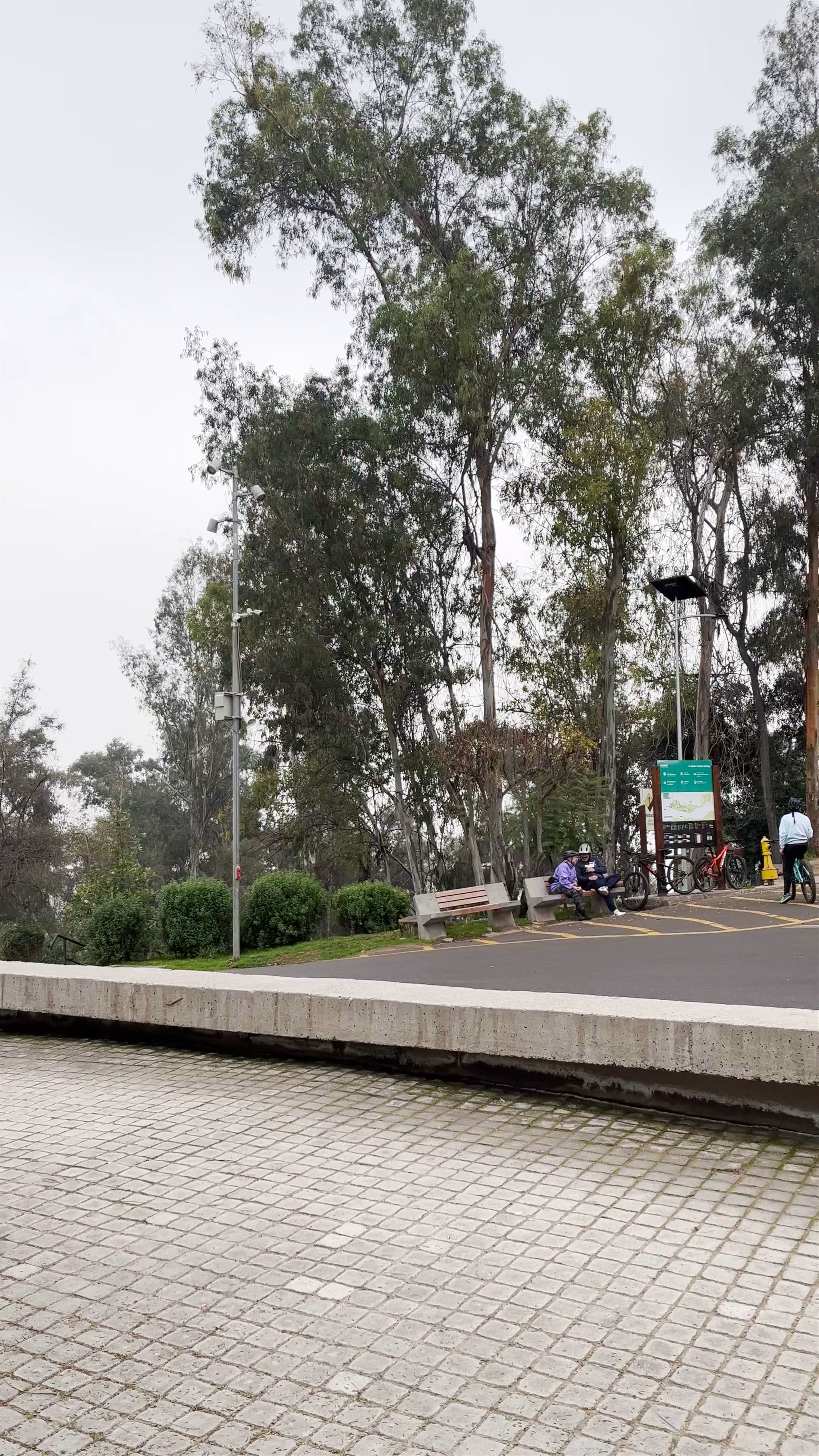 Parque Metropolitano de Santiago - Pío Nono