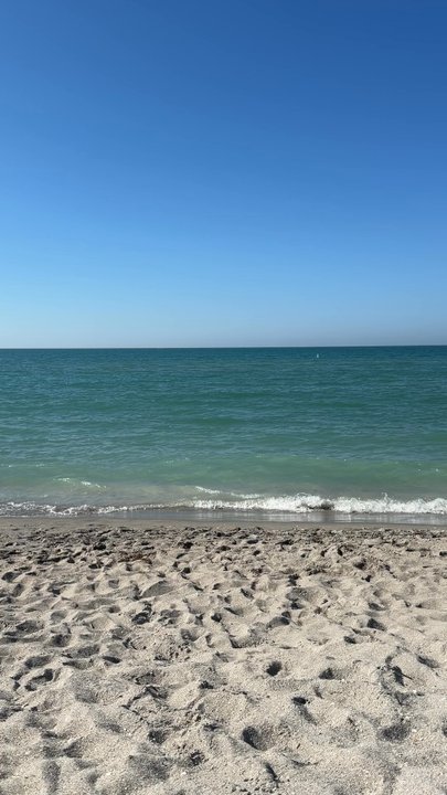 Venice Beach - Beaches Near Me - Venice, Florida