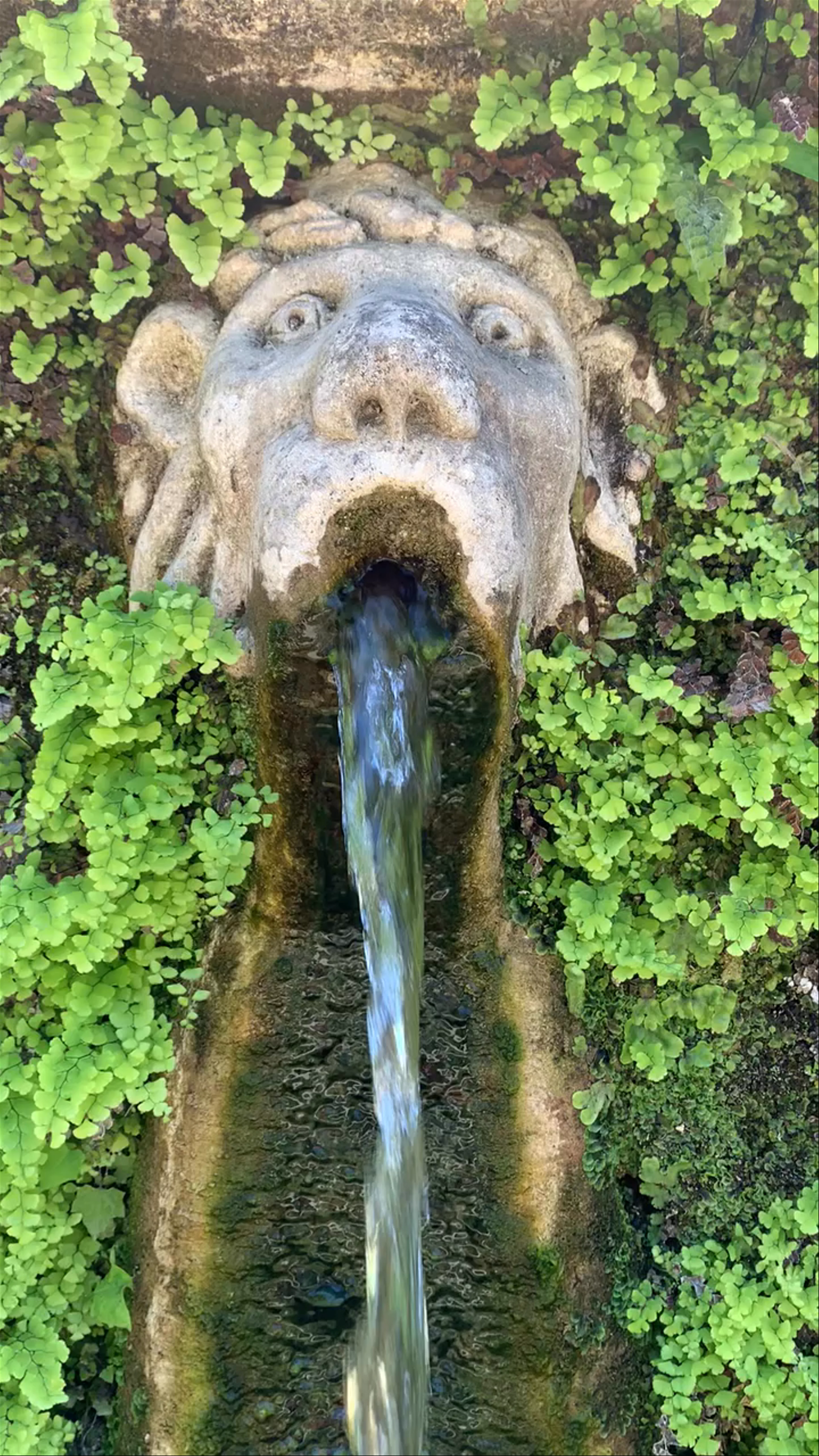 Viale delle Cento Fontane, Piazza Trento