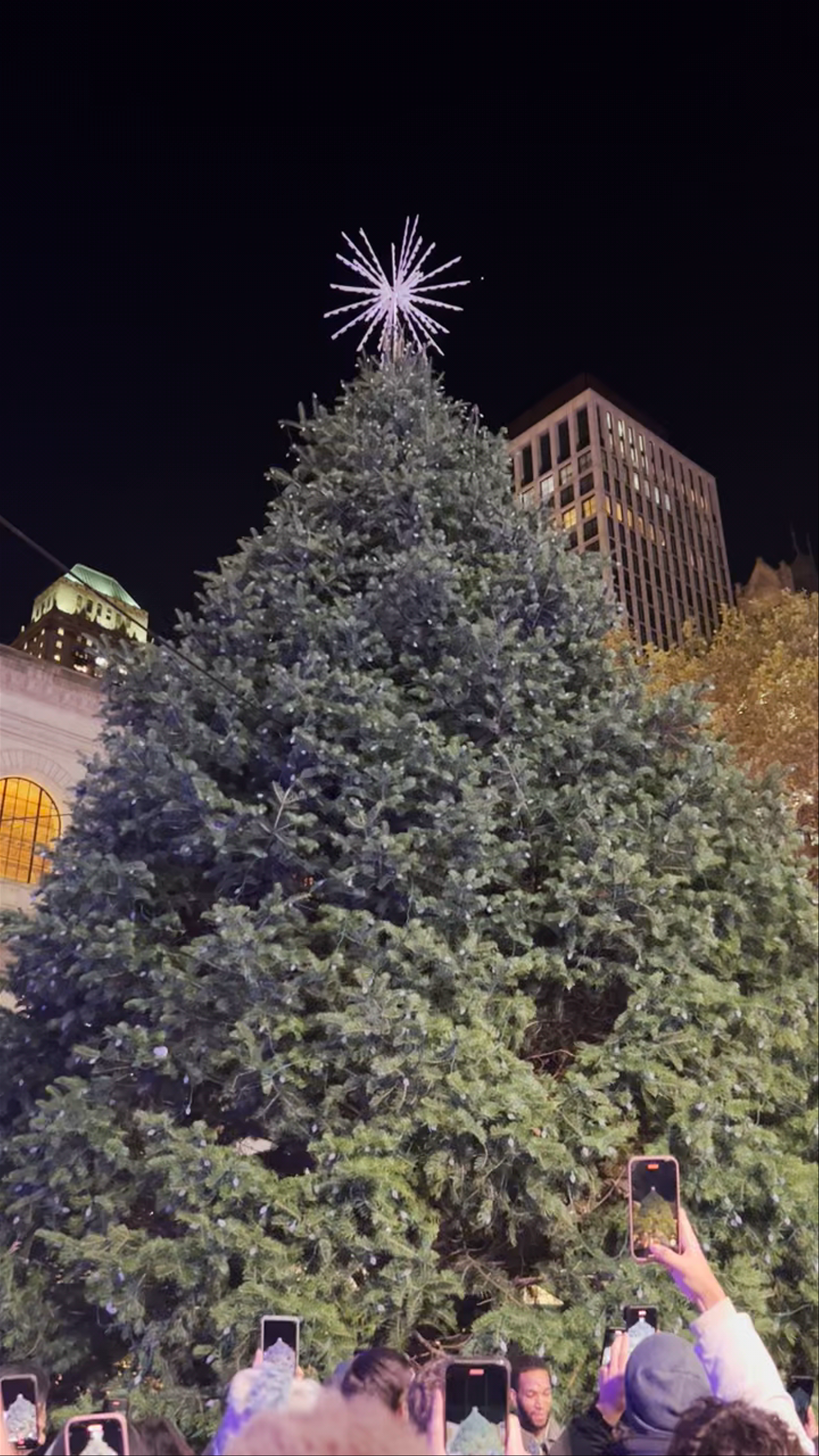Bryant Park Christmas Tree Lighting Celebration in New York City