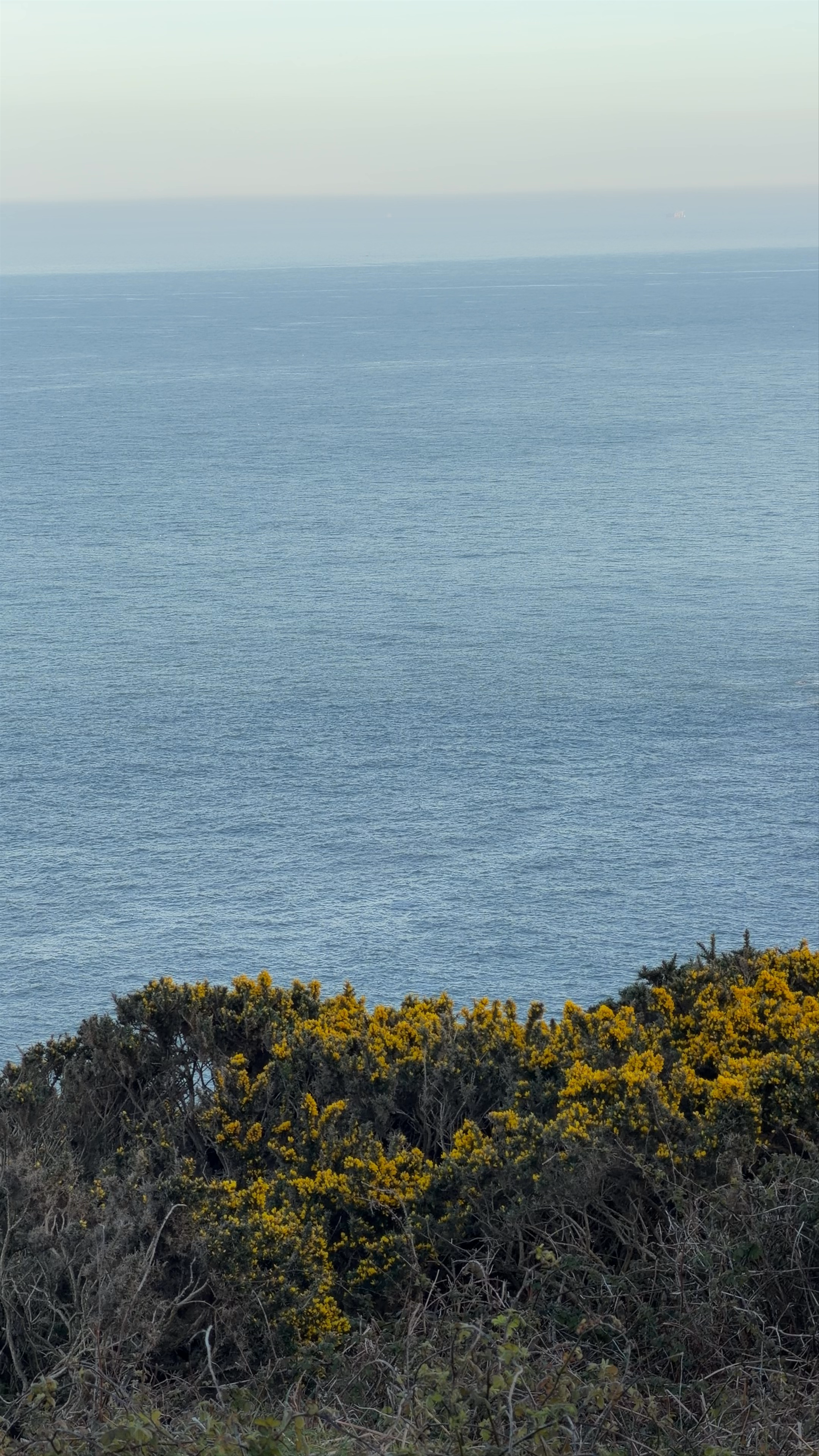 Howth Cliff Walk (Green Route)