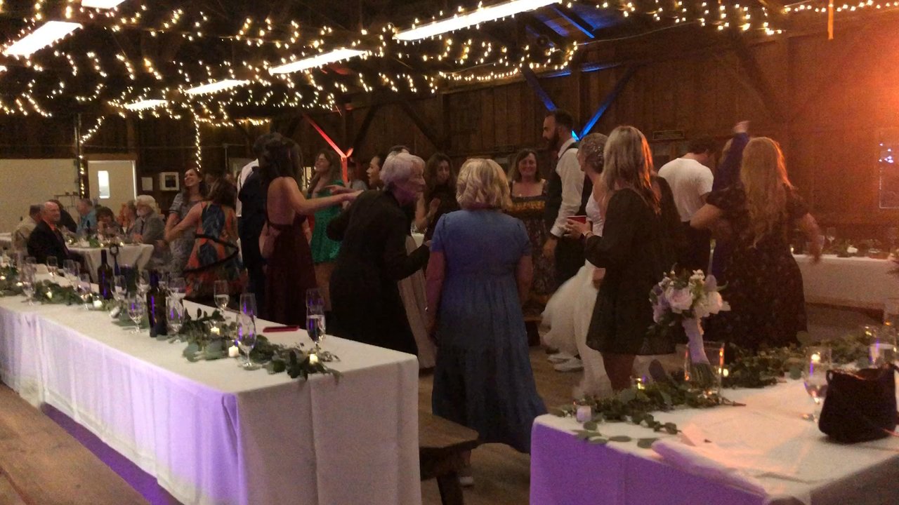 The DJ Roy Experience - DJ Roy performing a wedding reception and playing to the crowd. - DJs Near Me