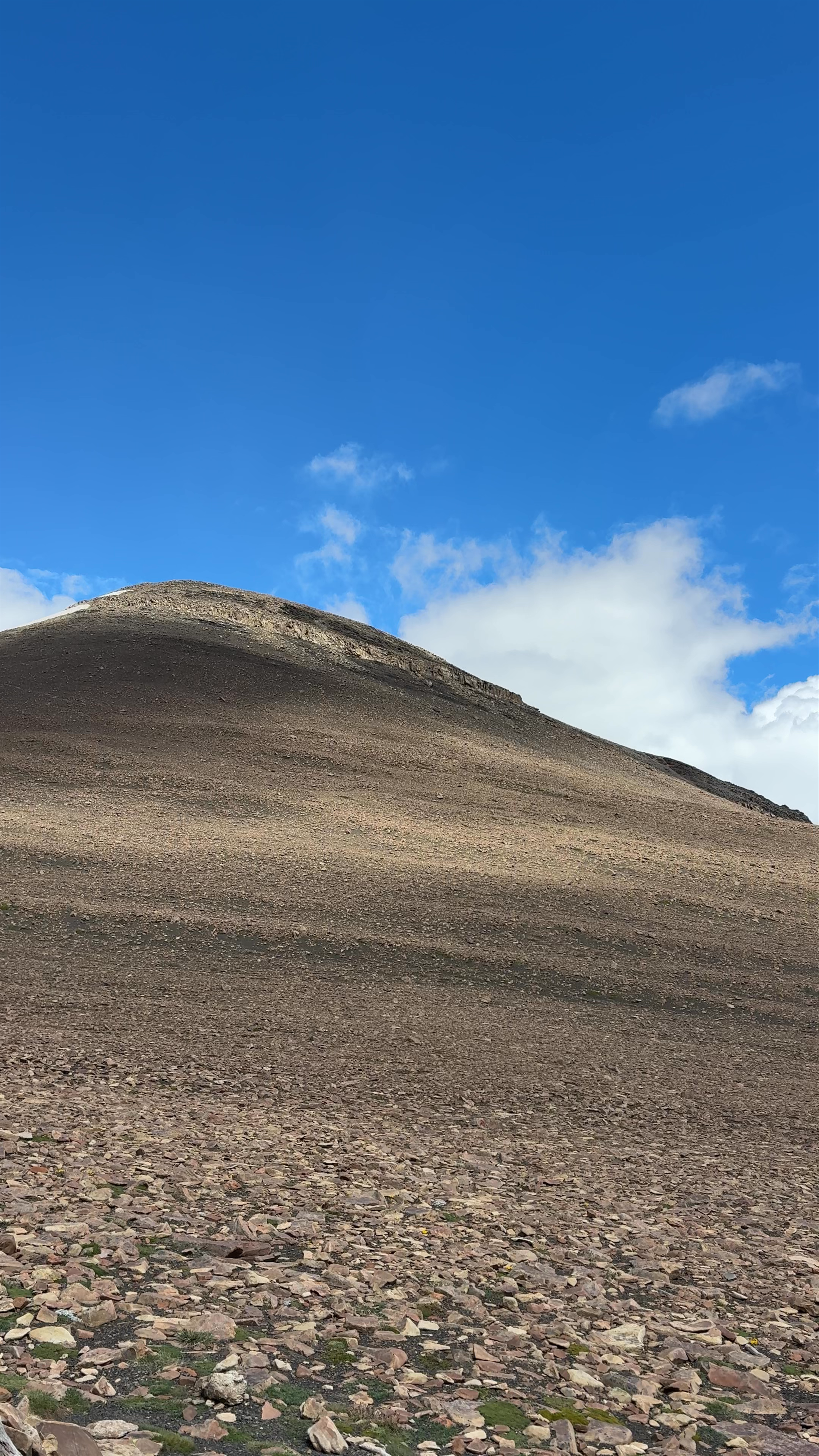 Torre Lagoon Panorama: Majestic Patagonia Mountains and Glacial Views