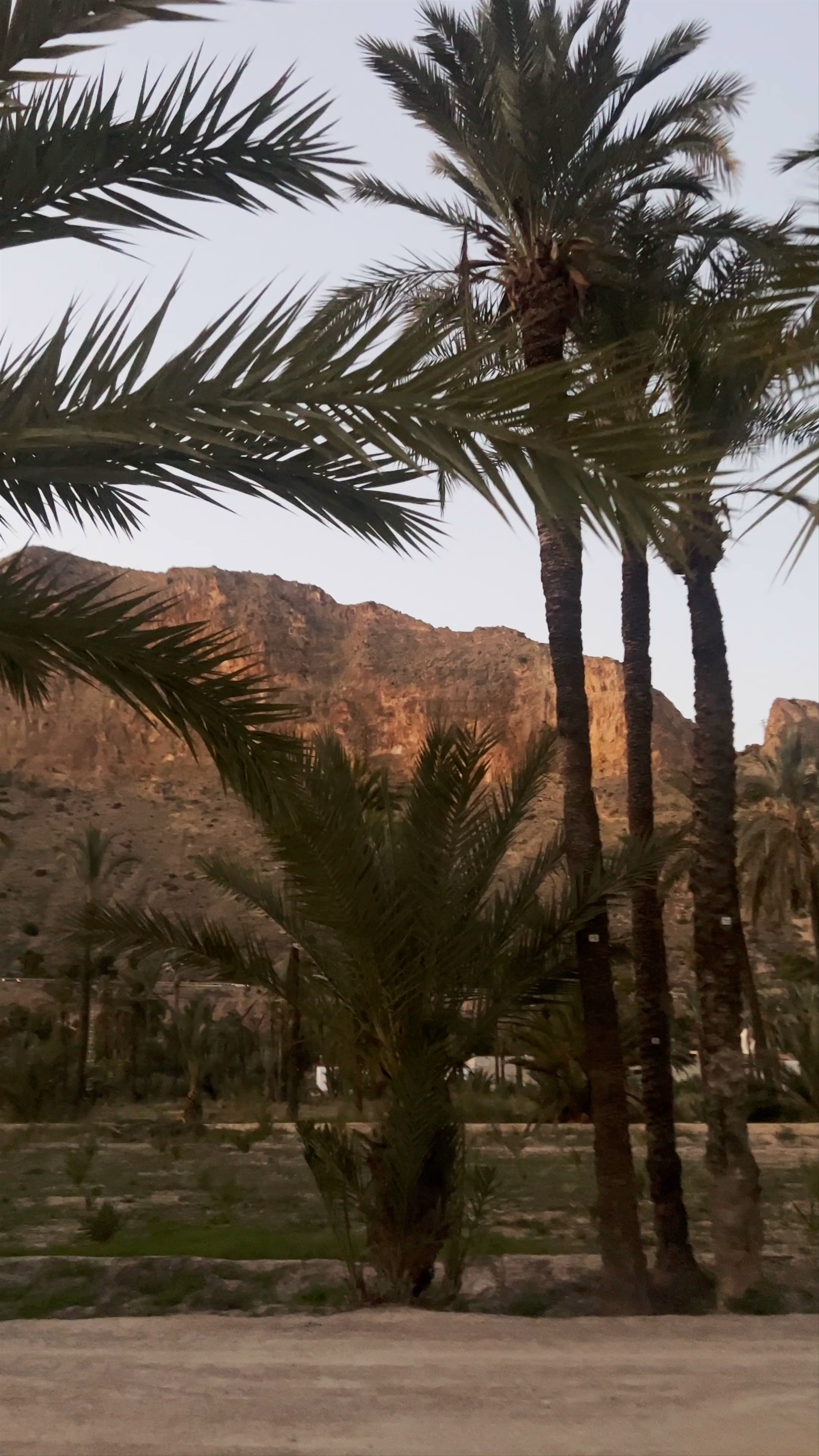 Sunset Serenity at Palmeral de Orihuela