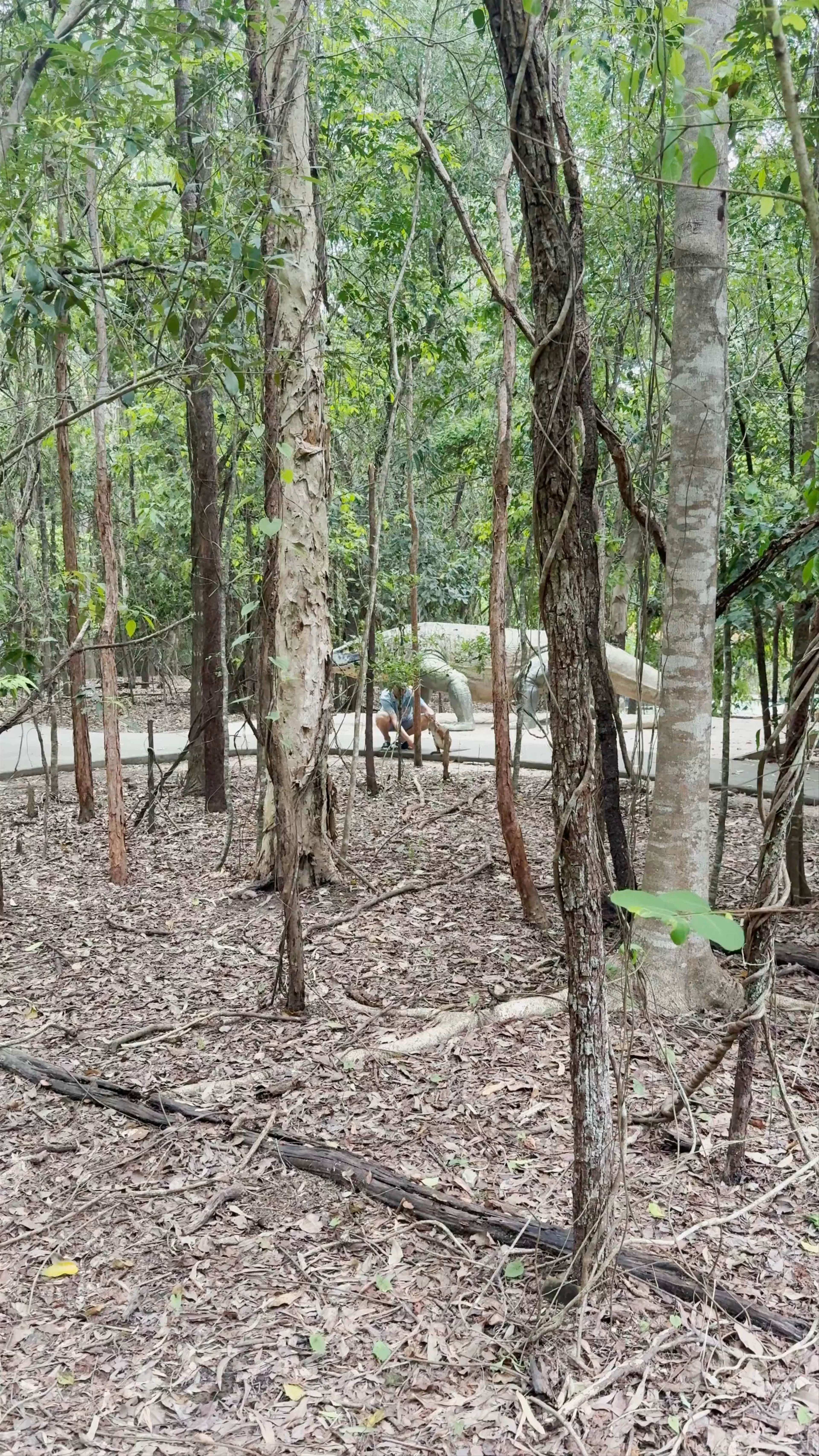 Hartley’s Crocodile Adventures