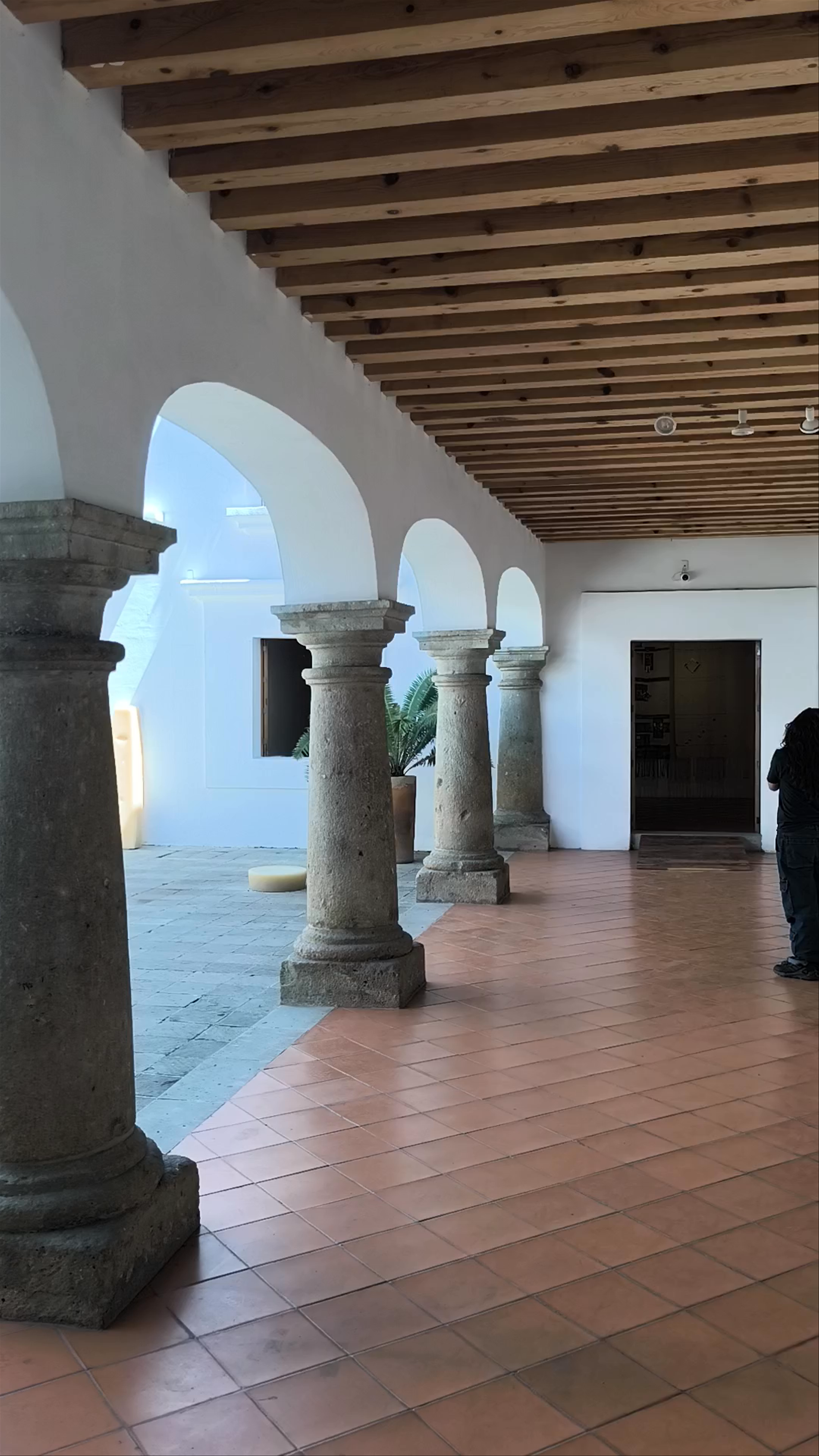 MACO Oaxaca: Contemporary Art Meets Indigenous Culture