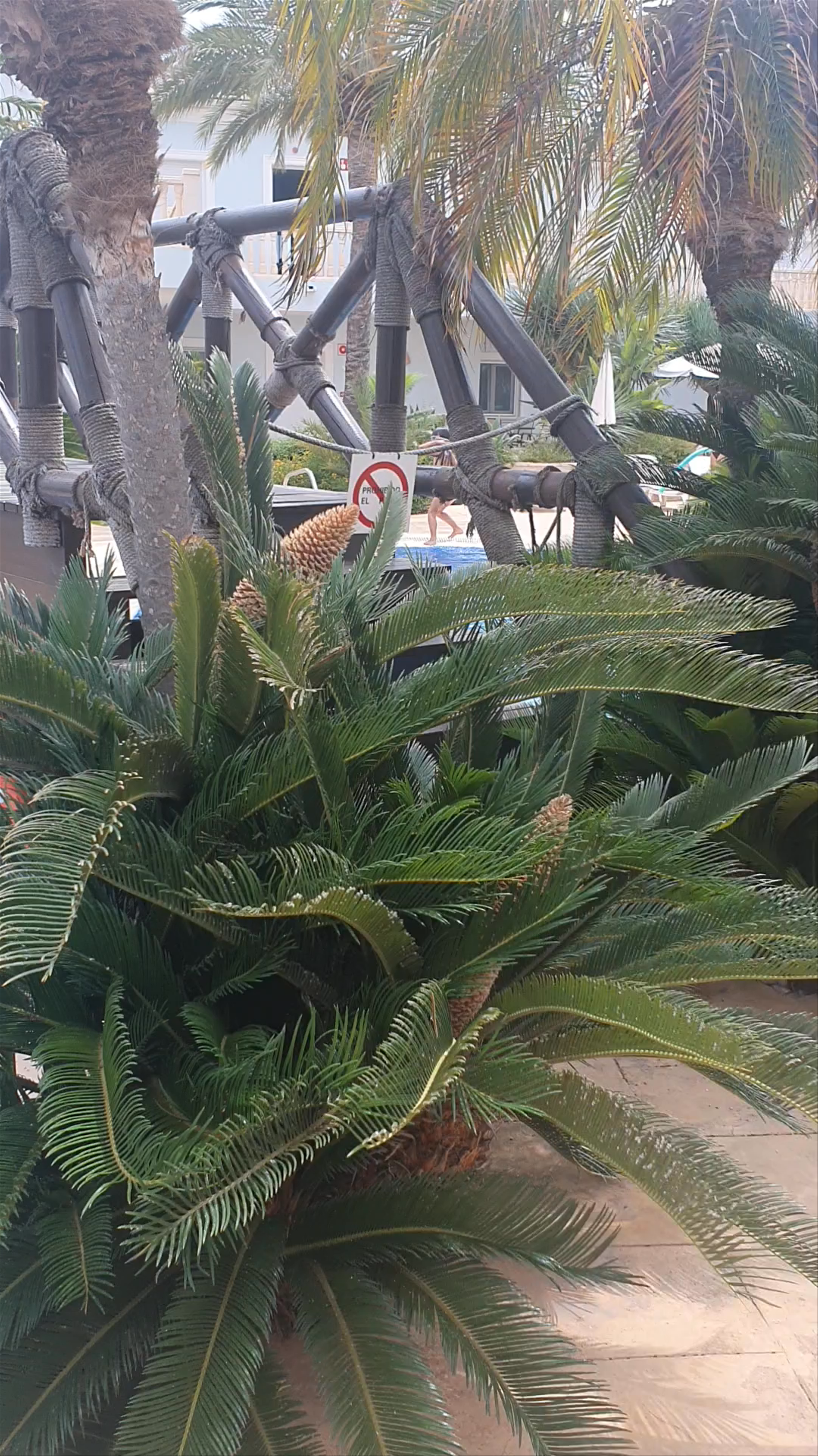 Apartotel Parques Casablanca