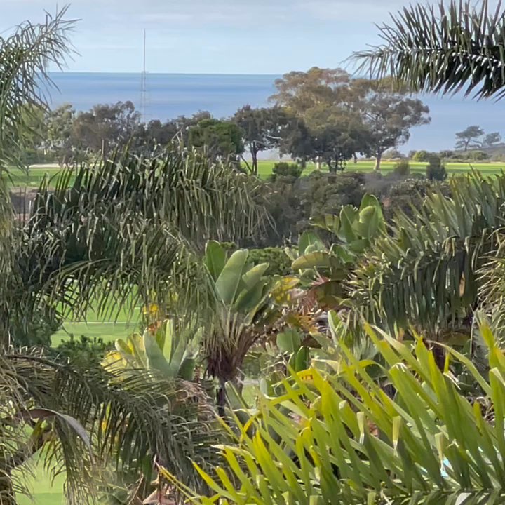 Hilton La Jolla Torrey Pines - The view from our suite - Hotels Near Me - La Jolla, California