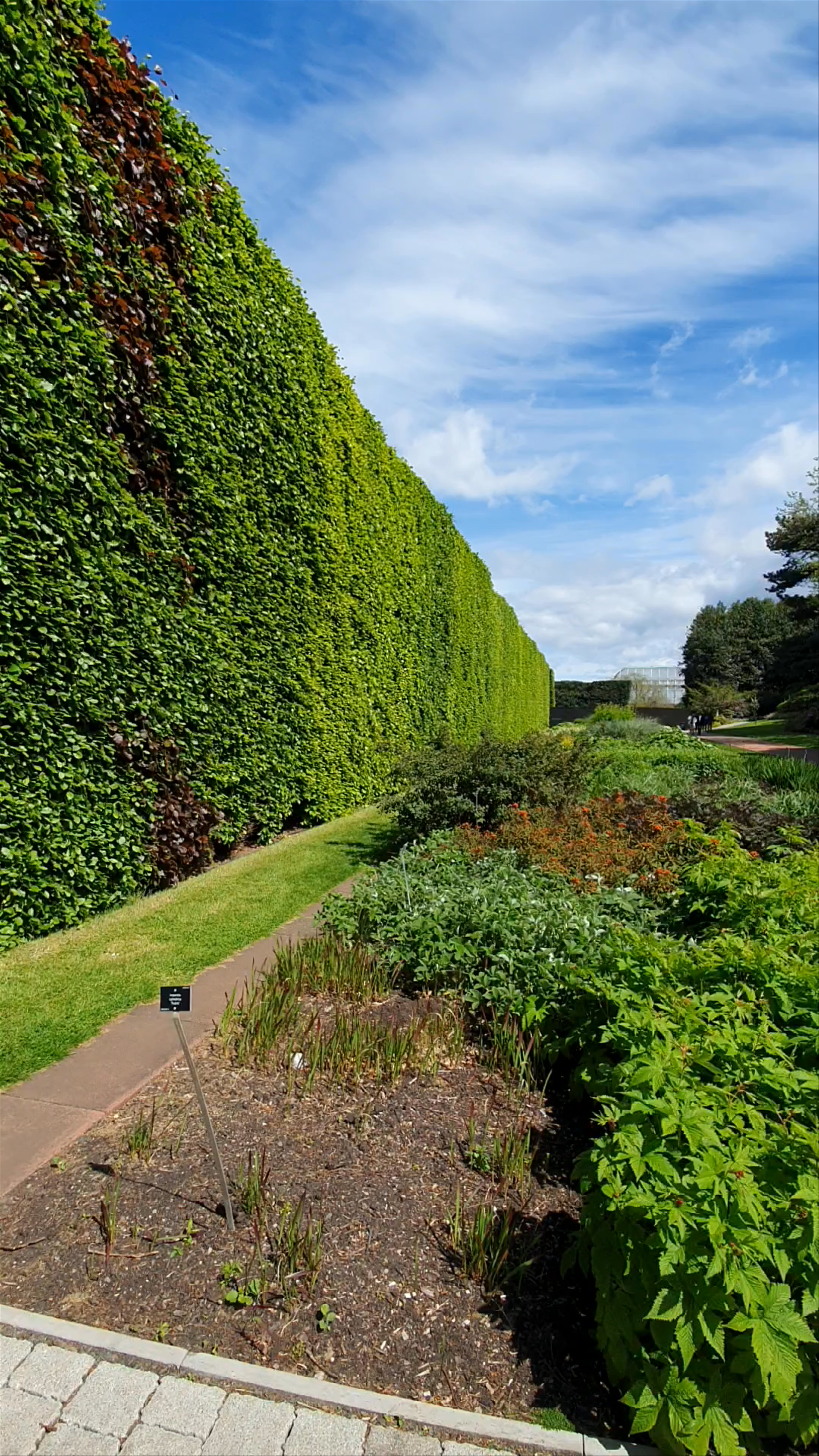Royal Botanic Garden Edinburgh