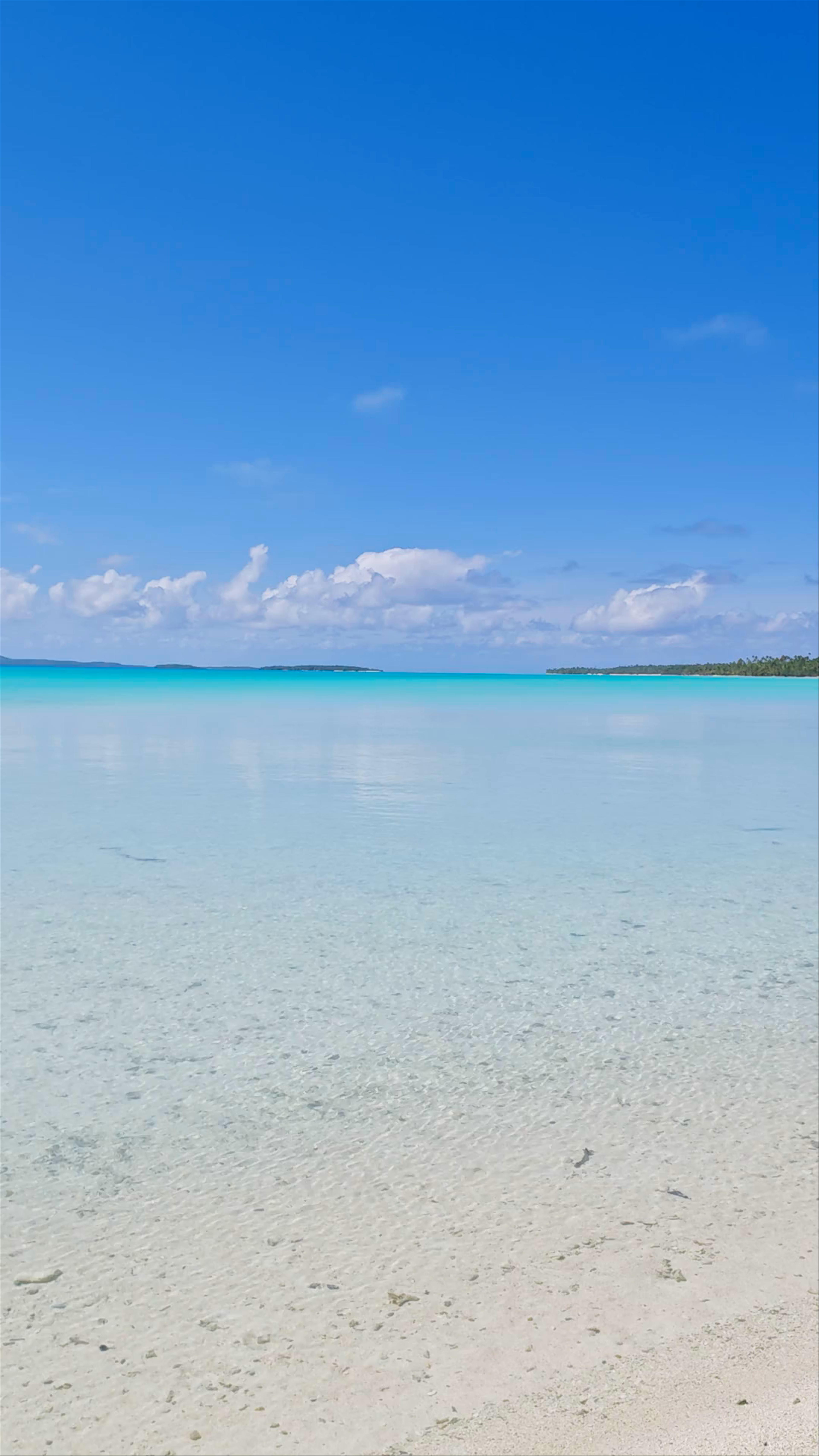 Honeymoon Island - Maina Iti