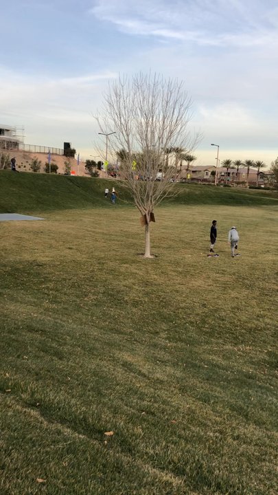 Mesa Park - Parks Near Me - Las Vegas, Nevada