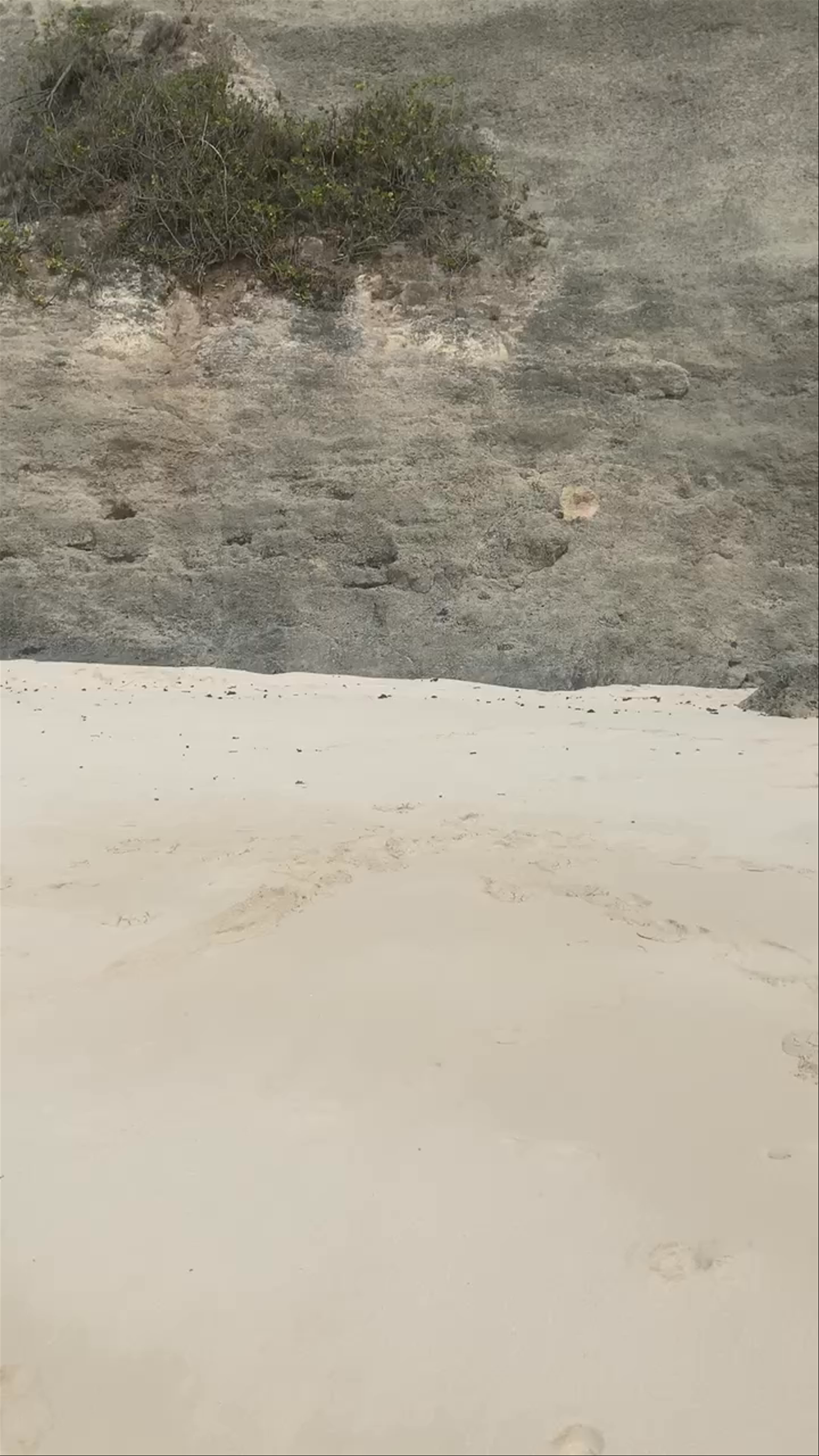 Diamond Beach Nusa Penida: Untamed Coastal Serenity in Bali