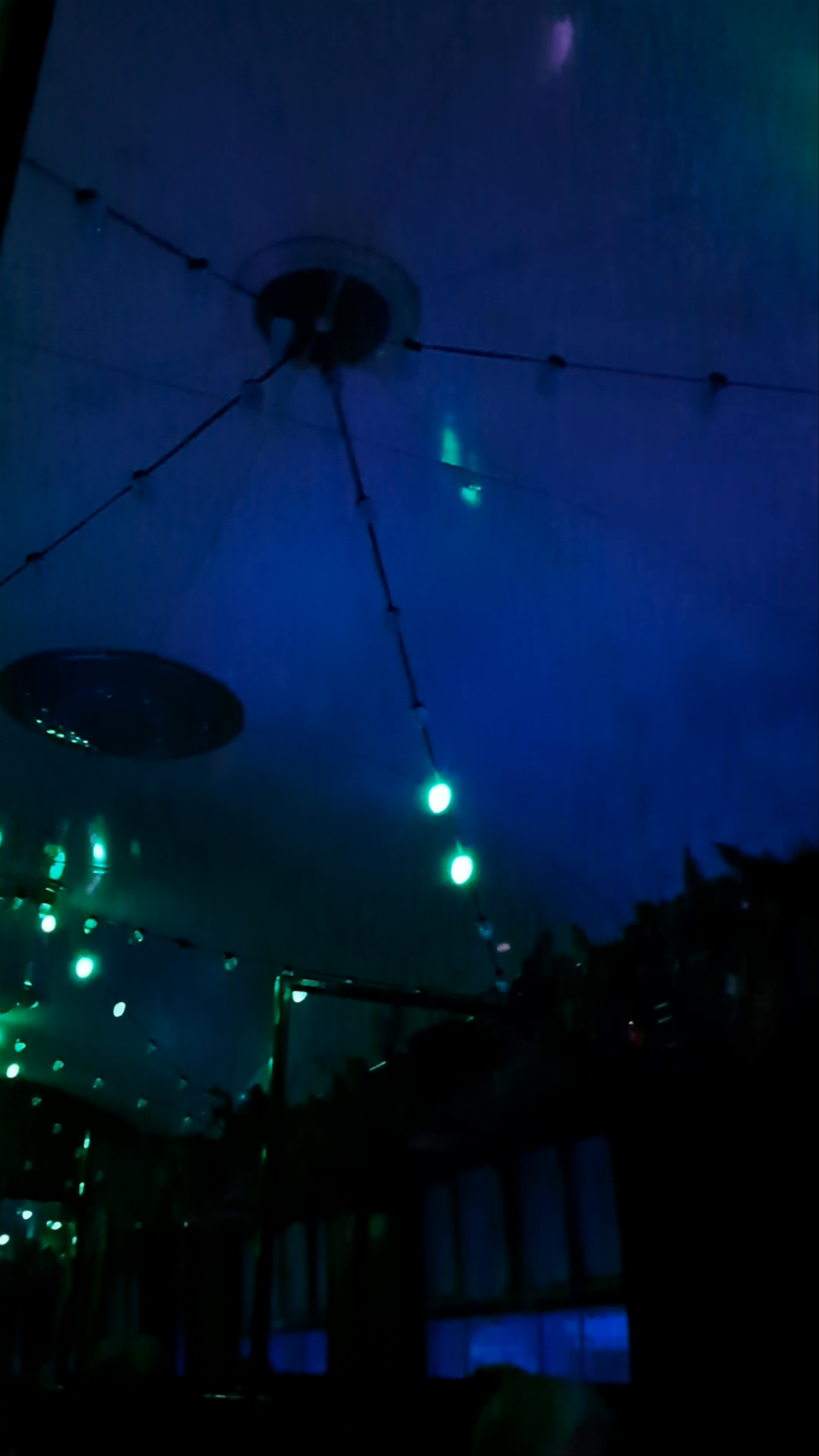 Watercress Line - (Alton Station)