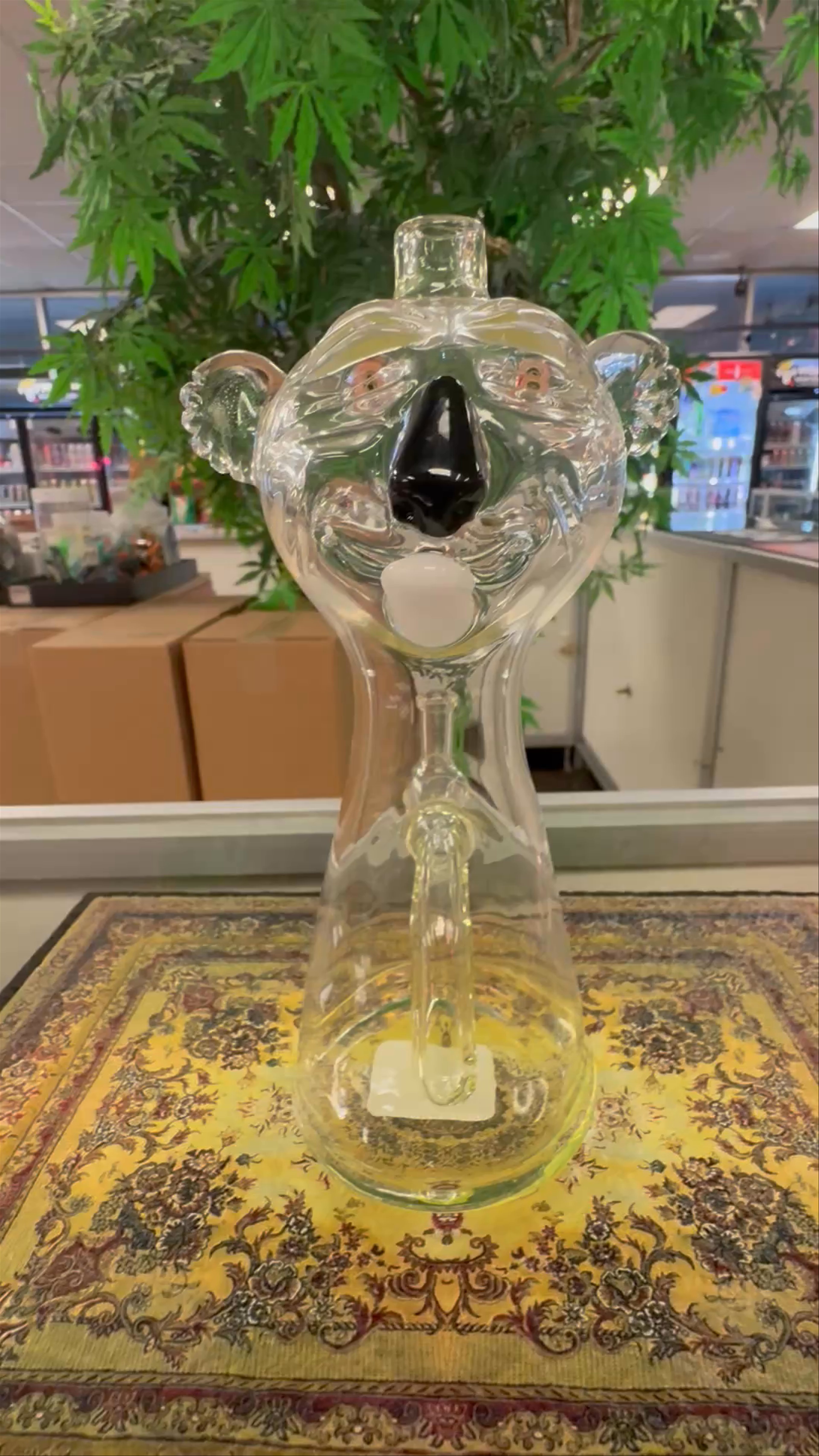 Preview pic of Aaron U Koala rig