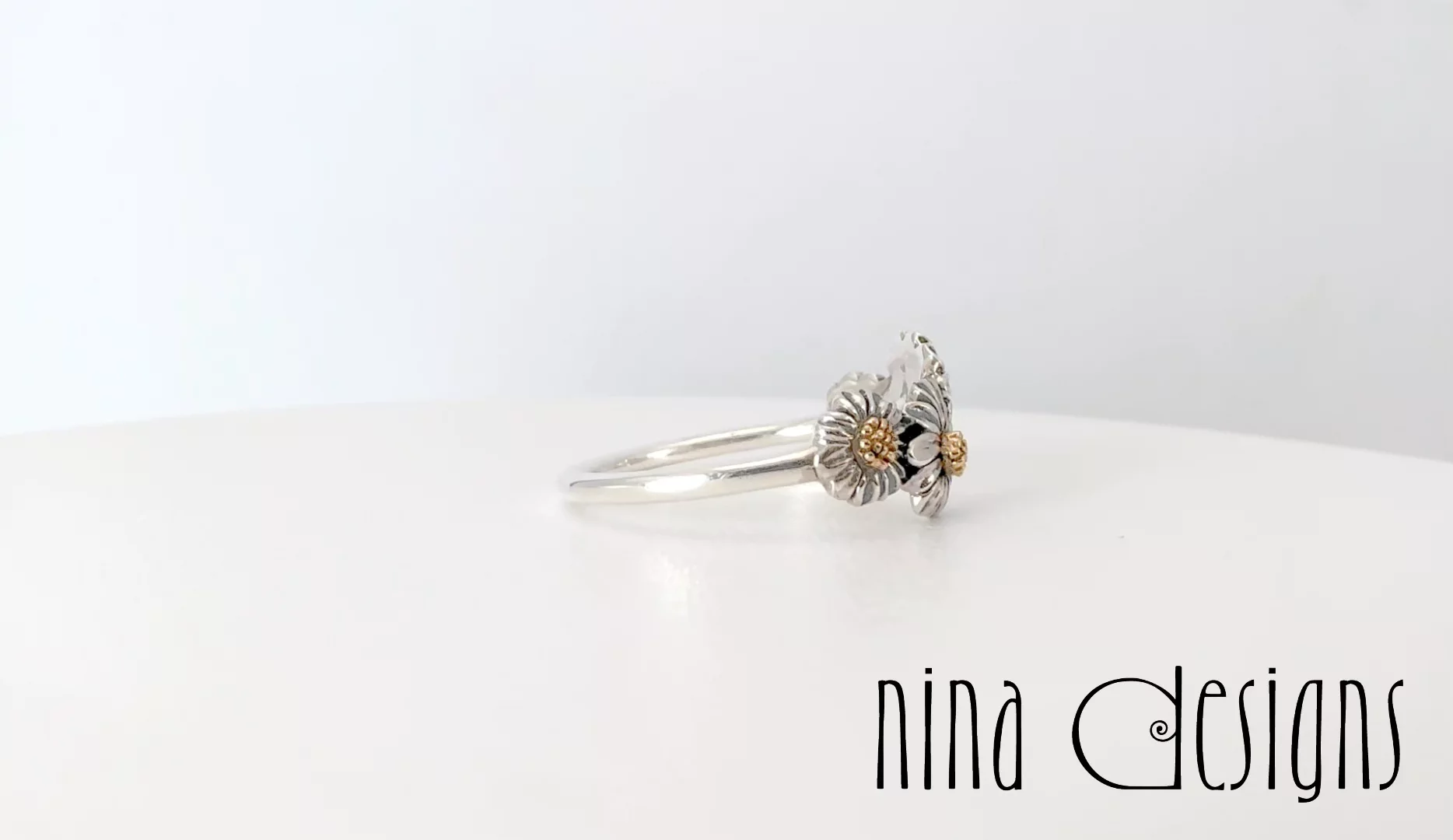 Preview image for video