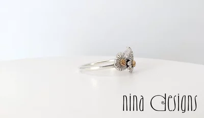 Preview image for video