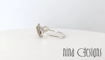 Preview image for video