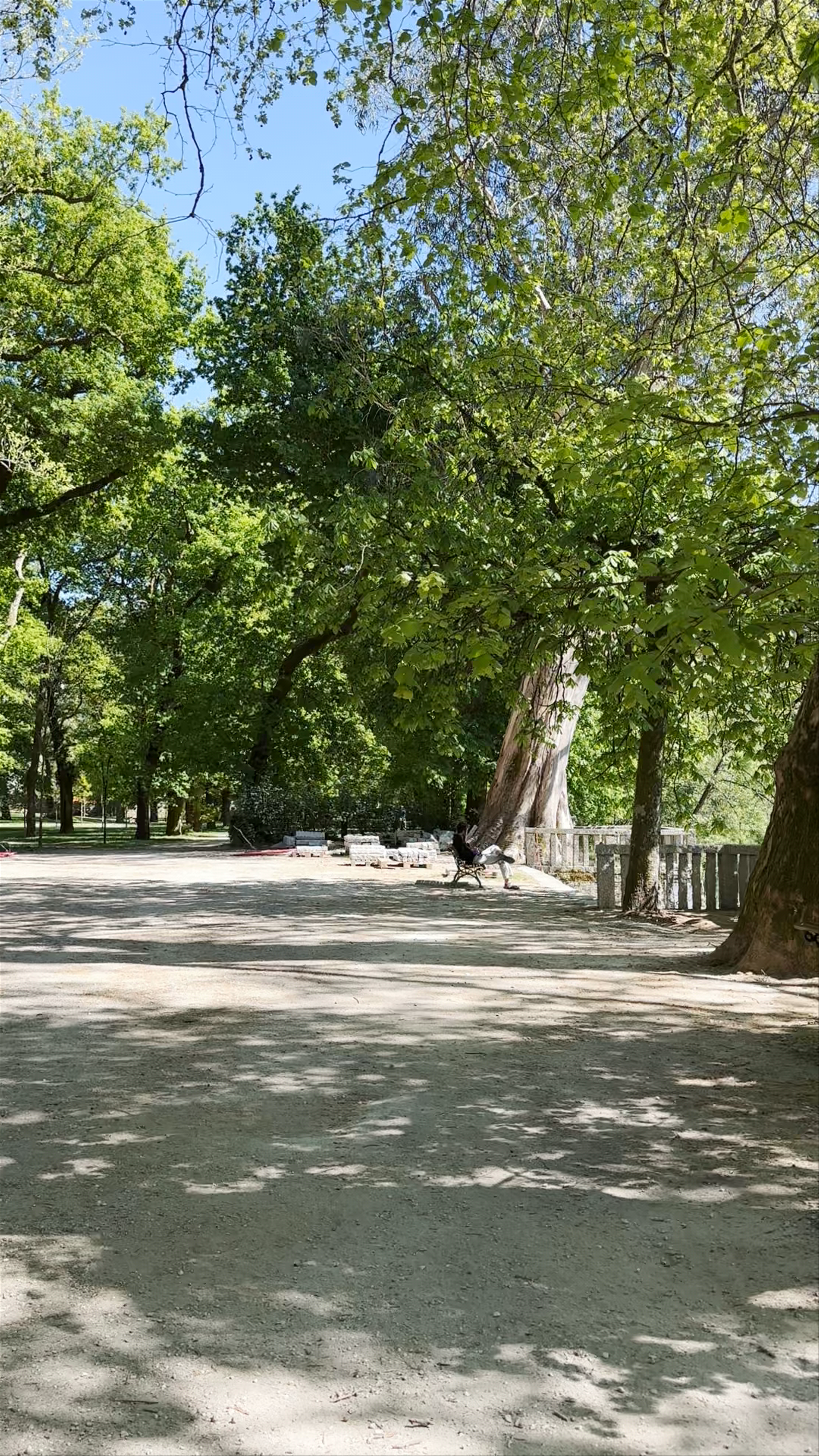 Fuente del Jardín Botánico