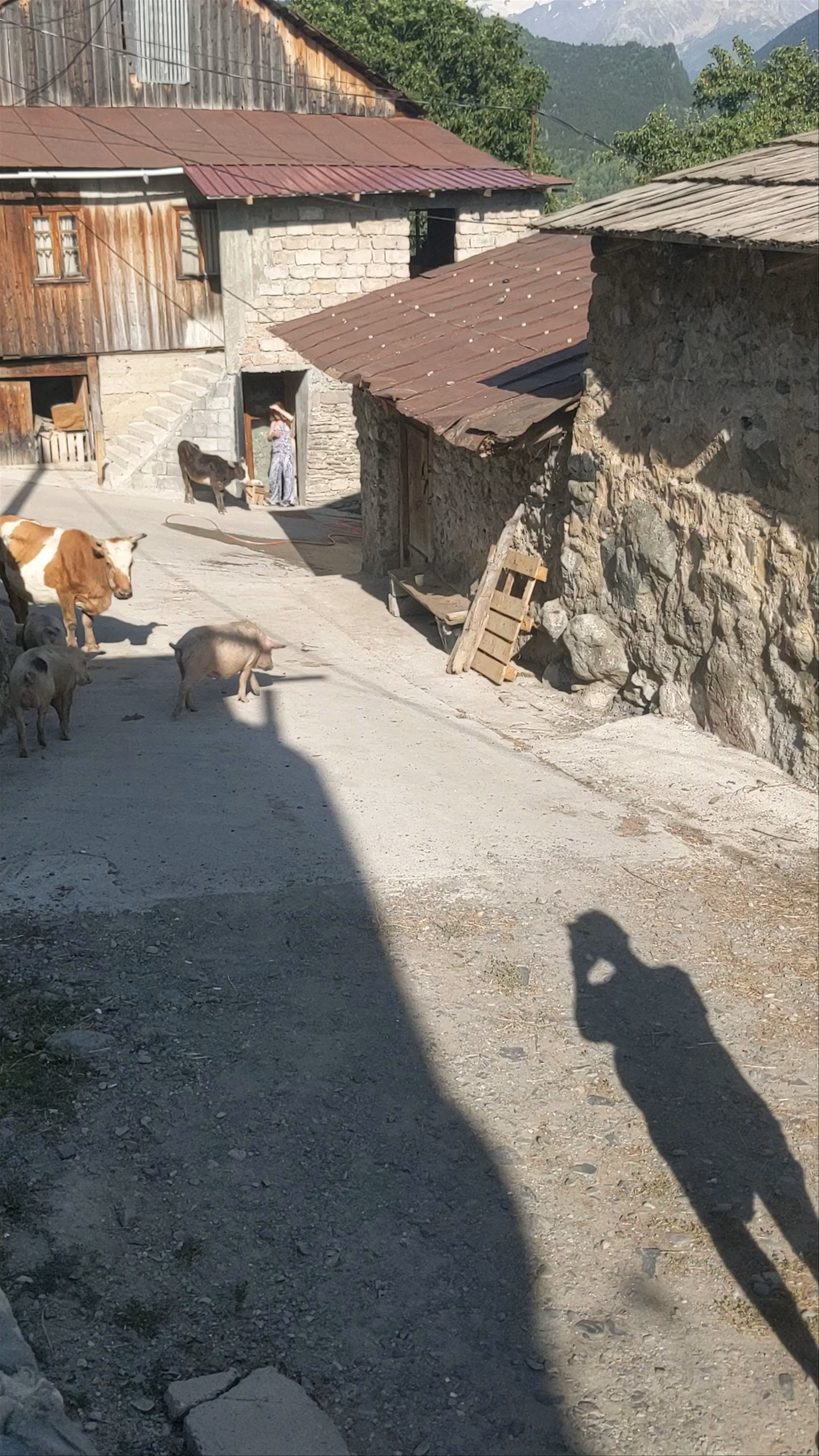 Rustic Village Life in Mestia, Georgia: Authentic Mountain Charm