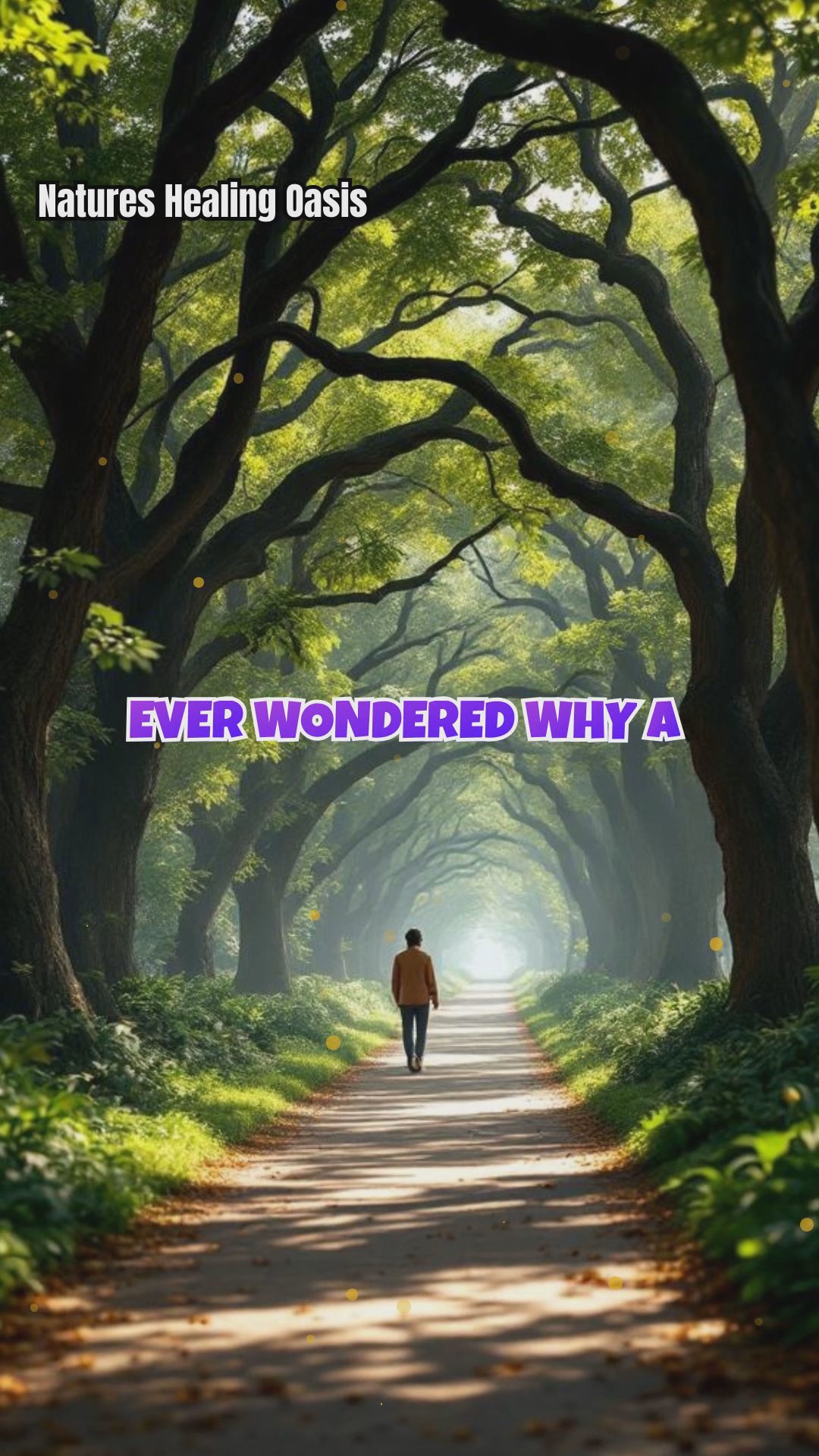 Tree-Lined Paths: Restoring Emotions and Balancing Energy