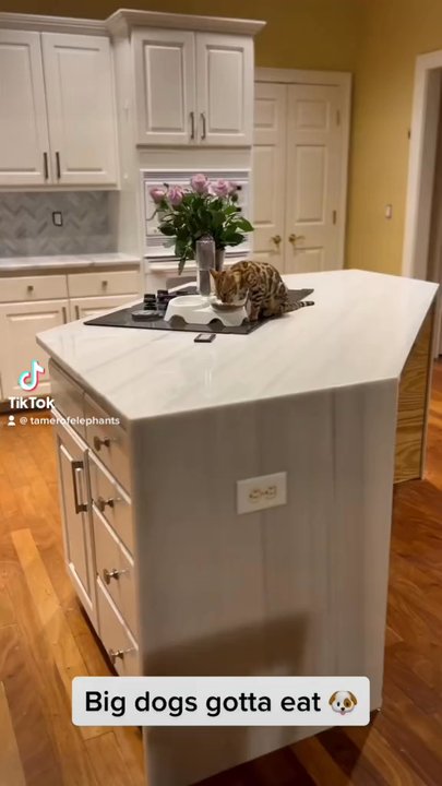 Bowser Construction Group - New kitchen backsplash and waterfall marble countertop - General Contractors Near Me - Cumming, Georgia