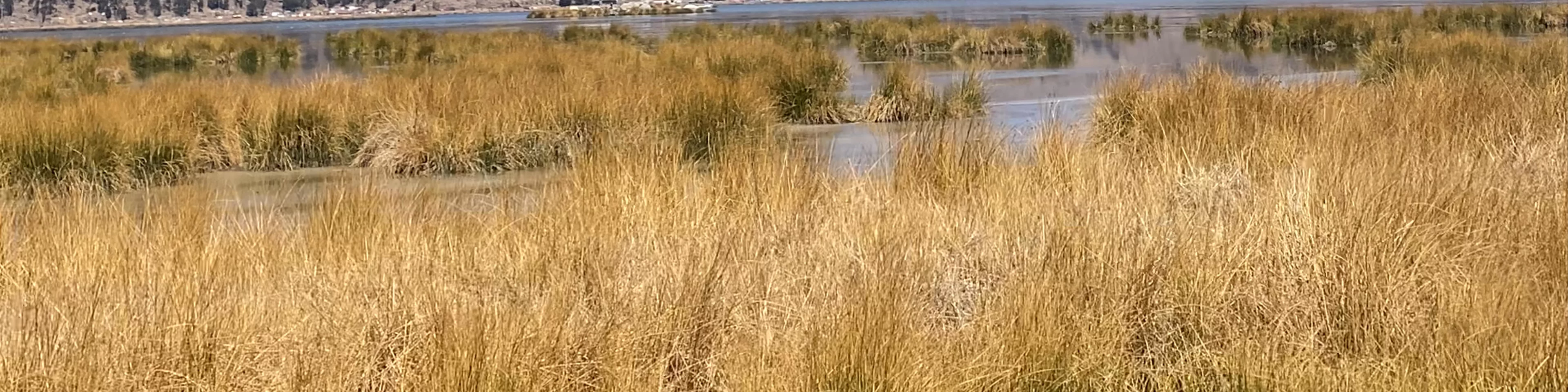 Lake Titicaca