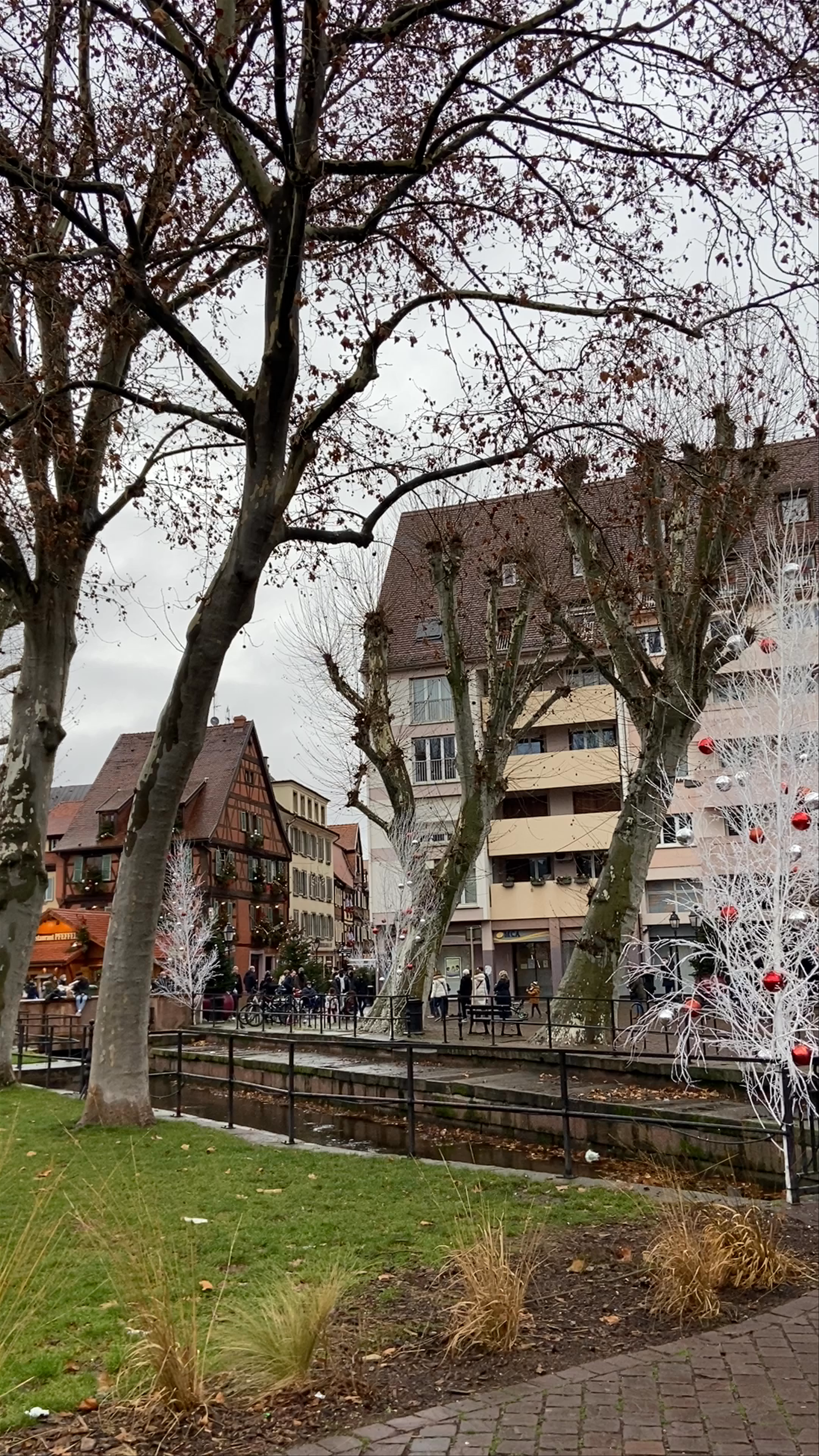 Enchanting Christmas Market at Place des 6 Montagnes Noires, Colmar