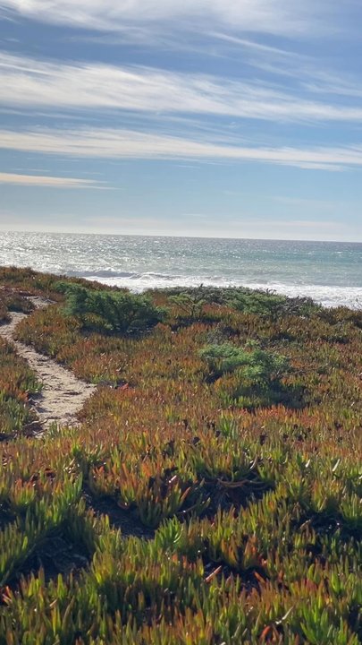 Jalama Beach Store - Convenience Stores Near Me - Lompoc, California